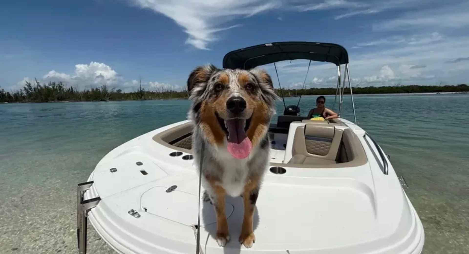 Hurricane Boats SS 188 w/F115XA in Naples, FL — photo 6