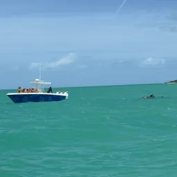 Reel Paradise Charters Trips: Dry Tortugas, Snorkeling,Sandbar,Sunset! boat photo
