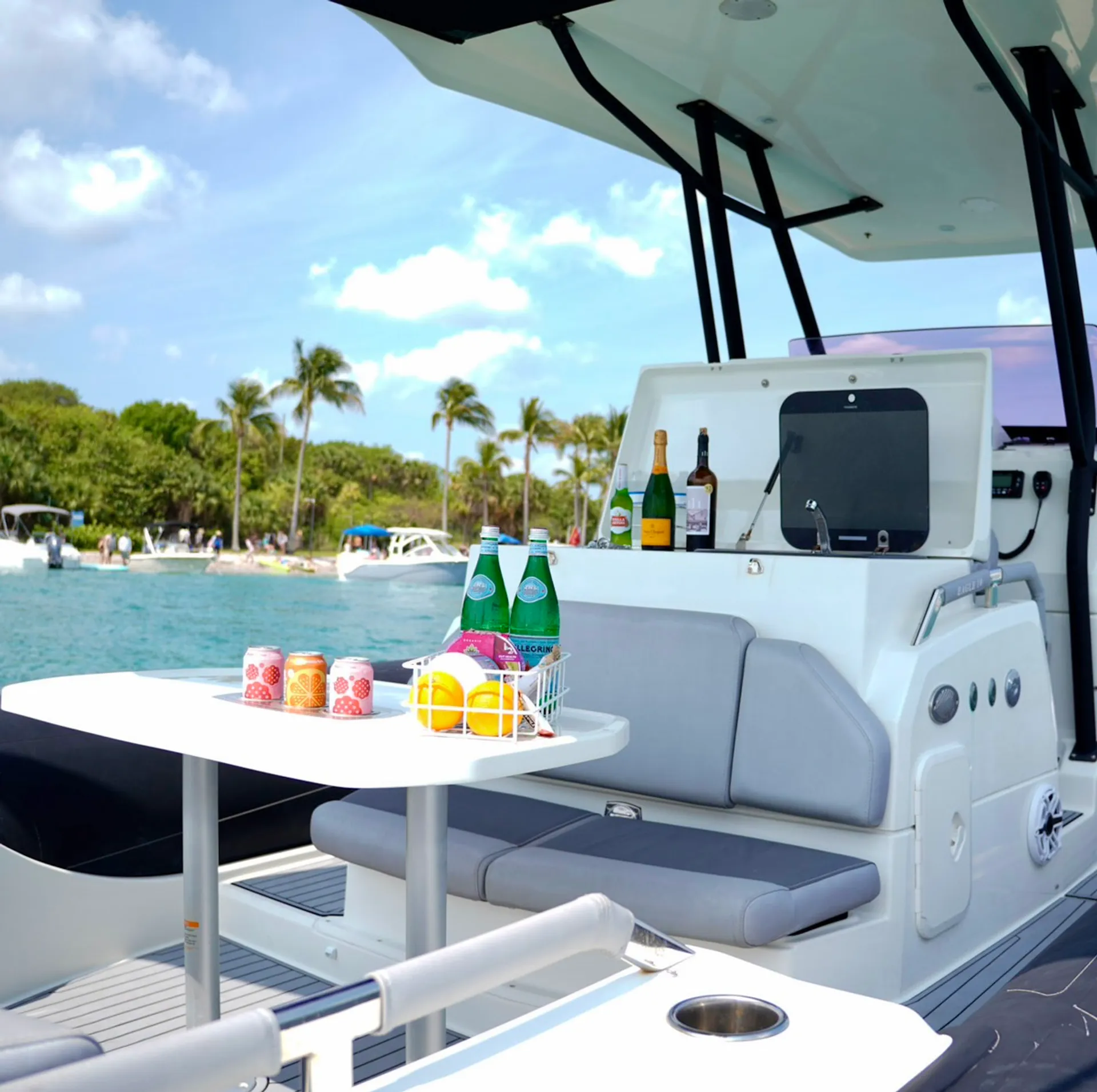 BRIG USA EAGLE 10 in North Palm Beach, FL — photo 2