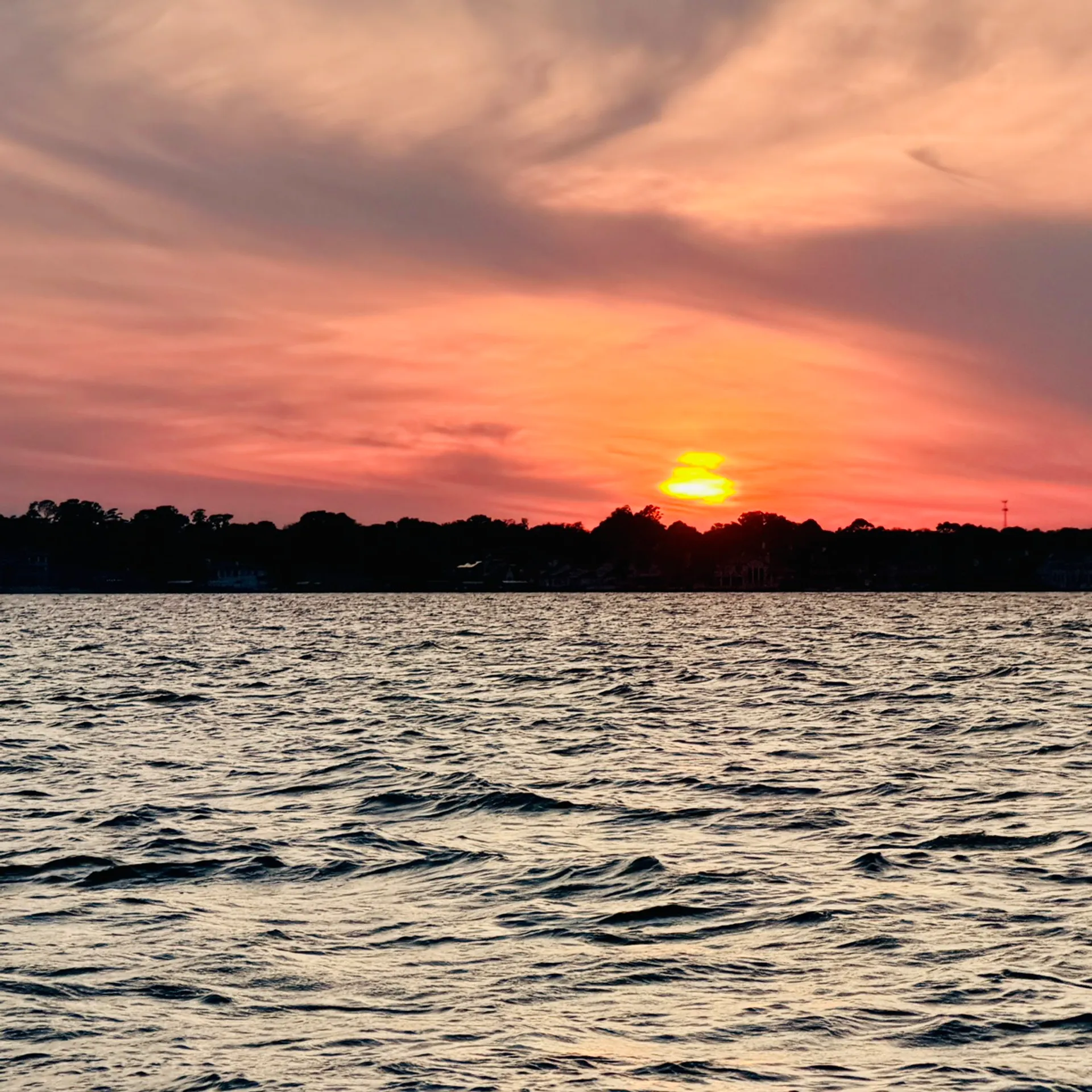 Luxury Lake Conroe Pontoon • Tubing and Family Fun
