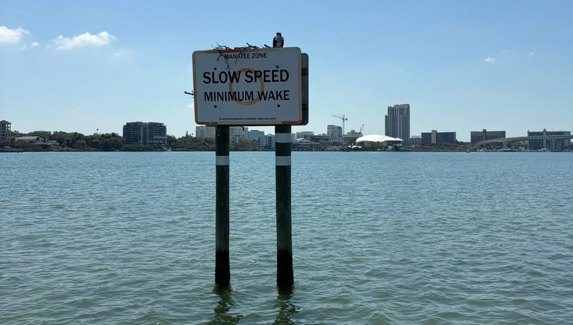 24’ party barge  dolphins, seashells, and private islands for up to 6 