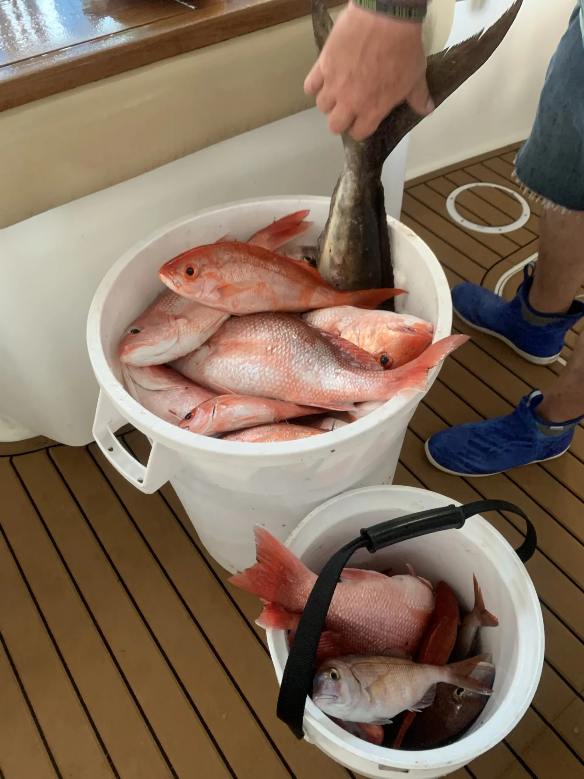 Egg Harbor Yachts 35' Sportfish in Shalimar, FL — photo 8