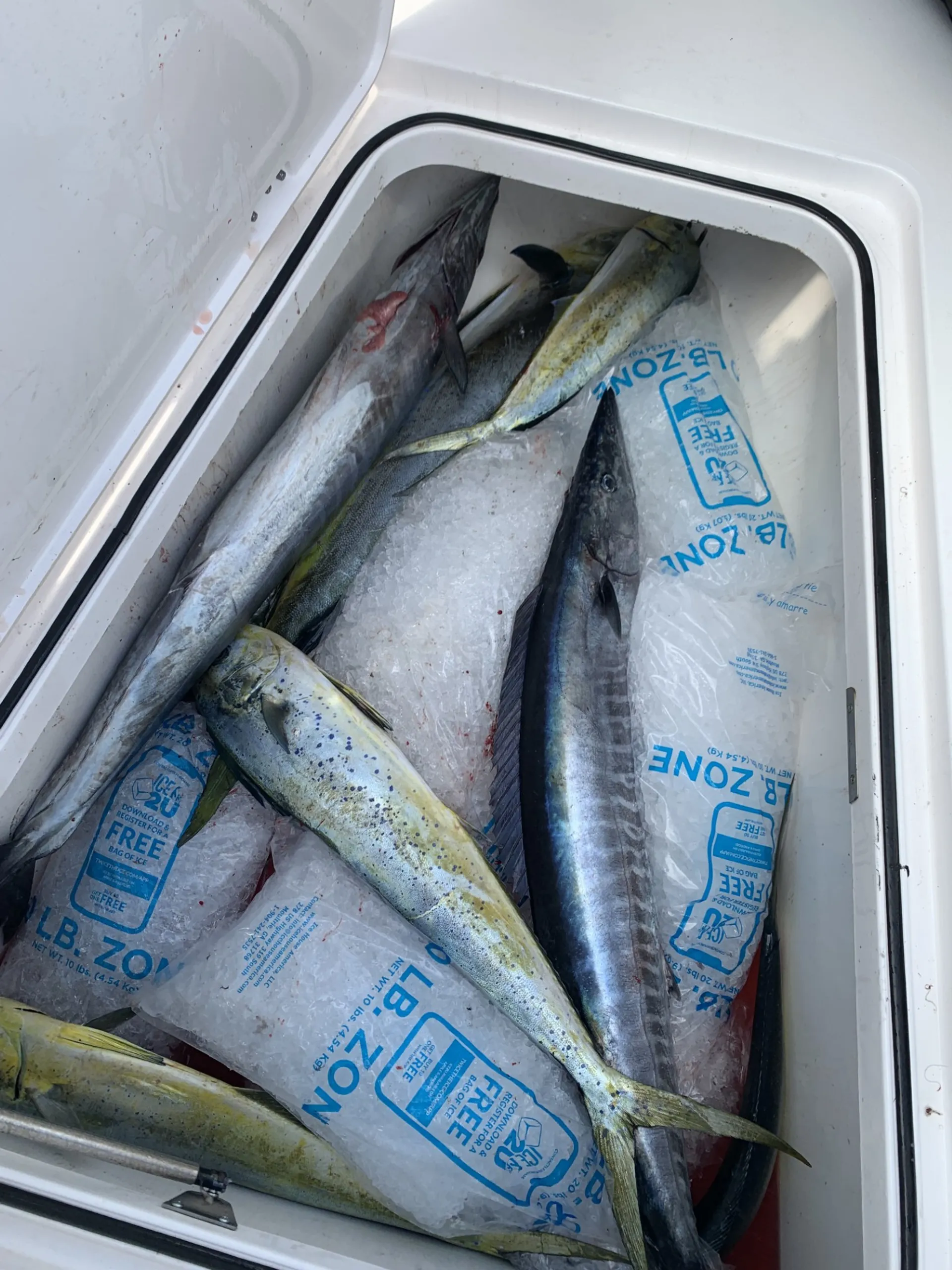 Egg Harbor Yachts 35' Sportfish in Shalimar, FL — photo 10
