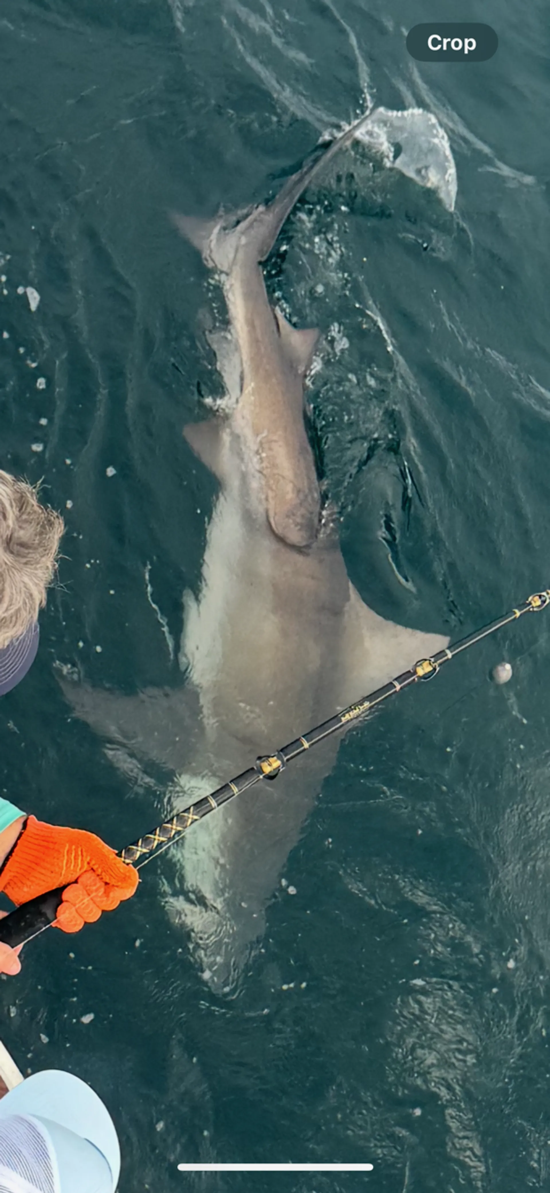 Destin/Ft. Walton Beach: Sportfishing Charters - Big Fish!!