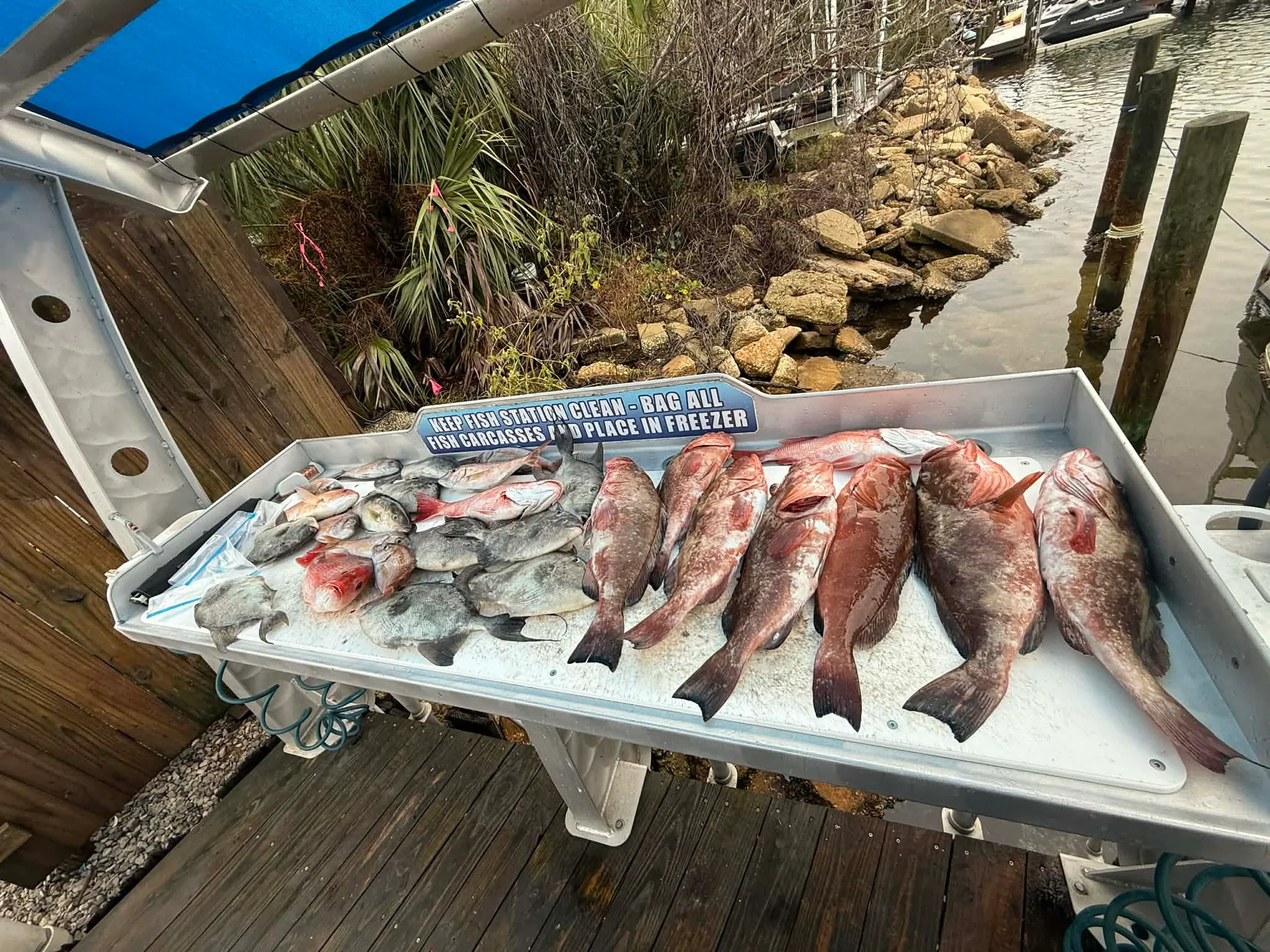 Destin/Ft. Walton Beach: Sportfishing Charters - Big Fish!!