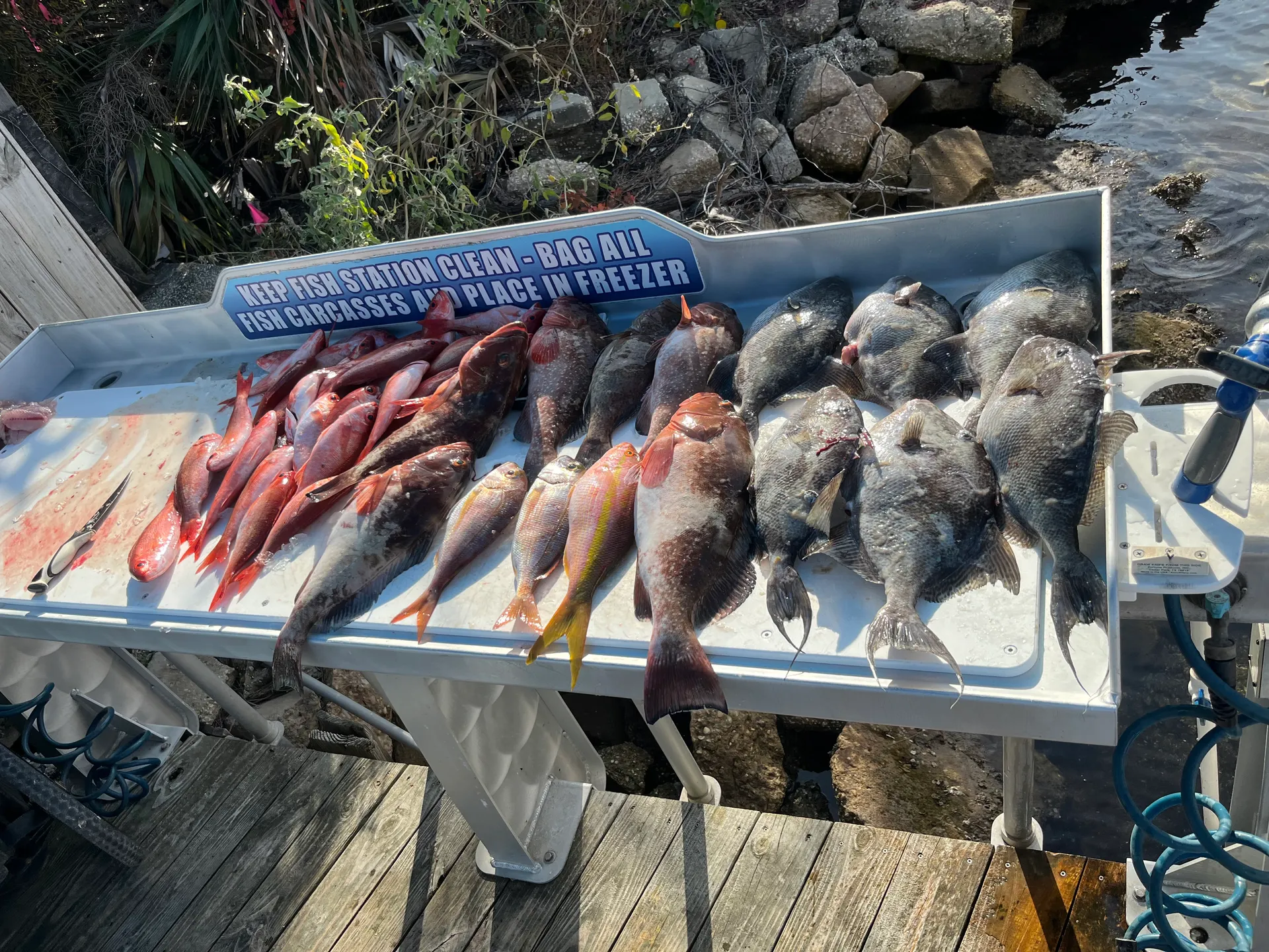 Destin/Ft. Walton Beach: Sportfishing Charters - Big Fish!!