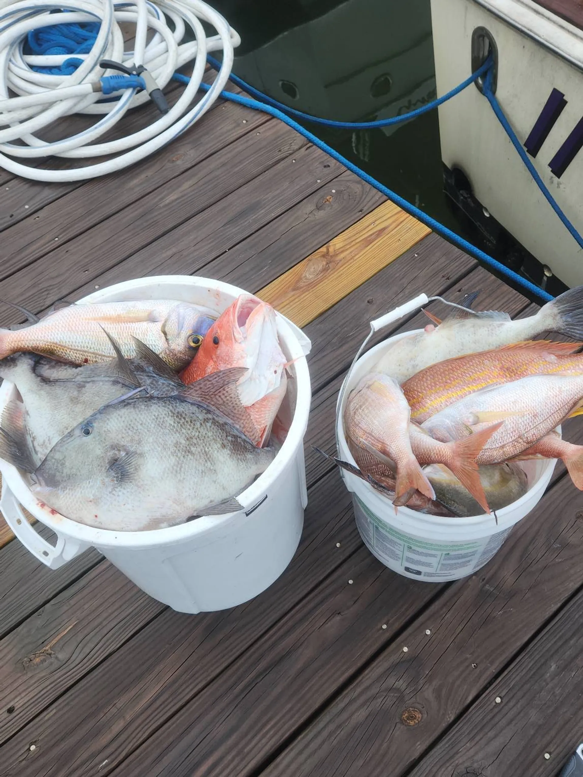 Destin/Ft. Walton Beach: Sportfishing Charters - Big Fish!!
