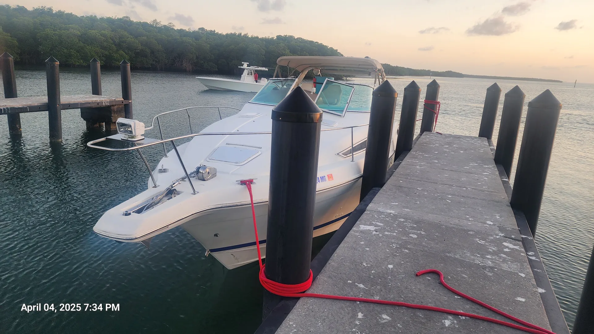 Carver Yachts 310 EXPRESS in Miami, FL