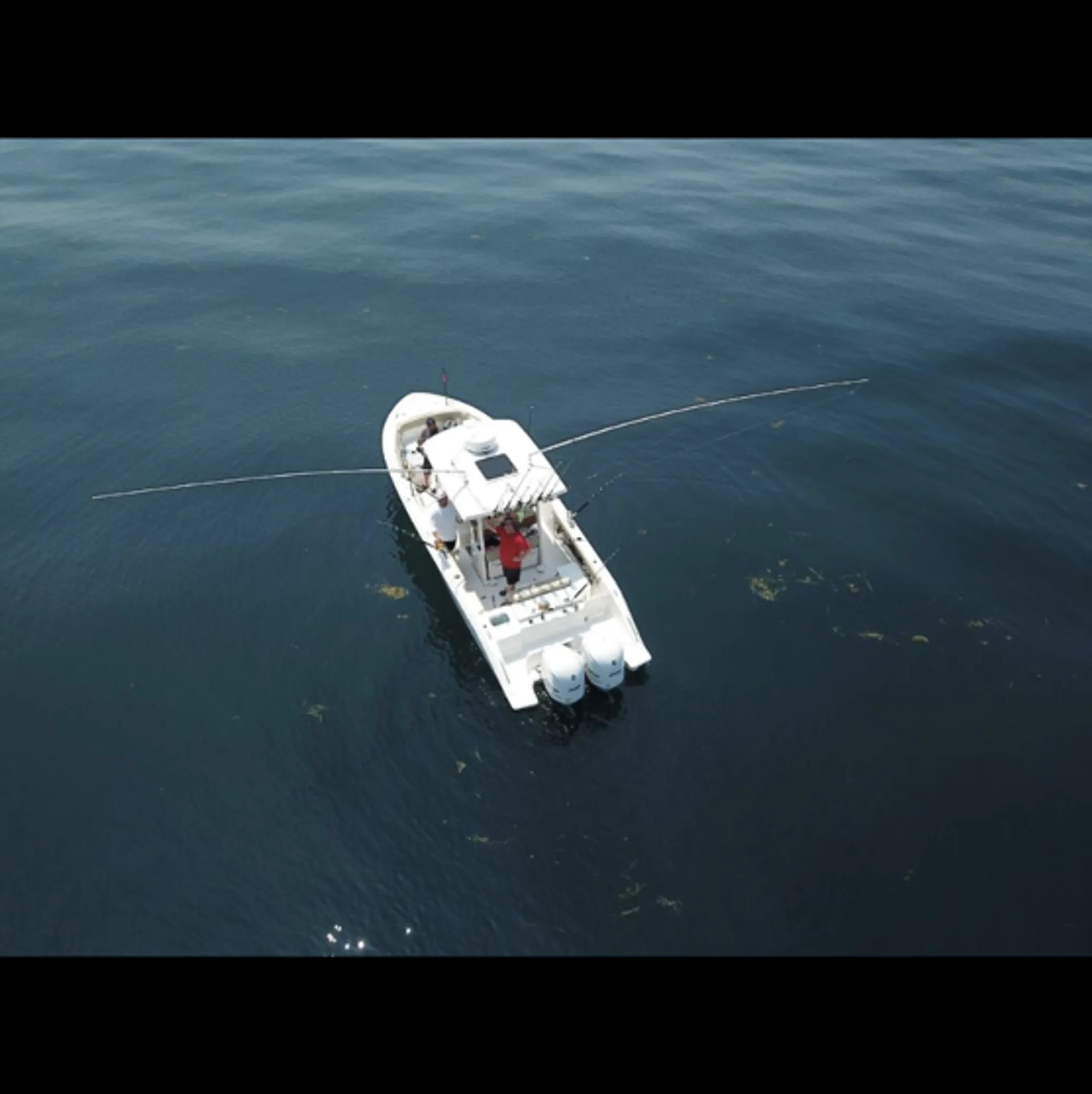 Off the Dock Charters: From the skyline to the Islands