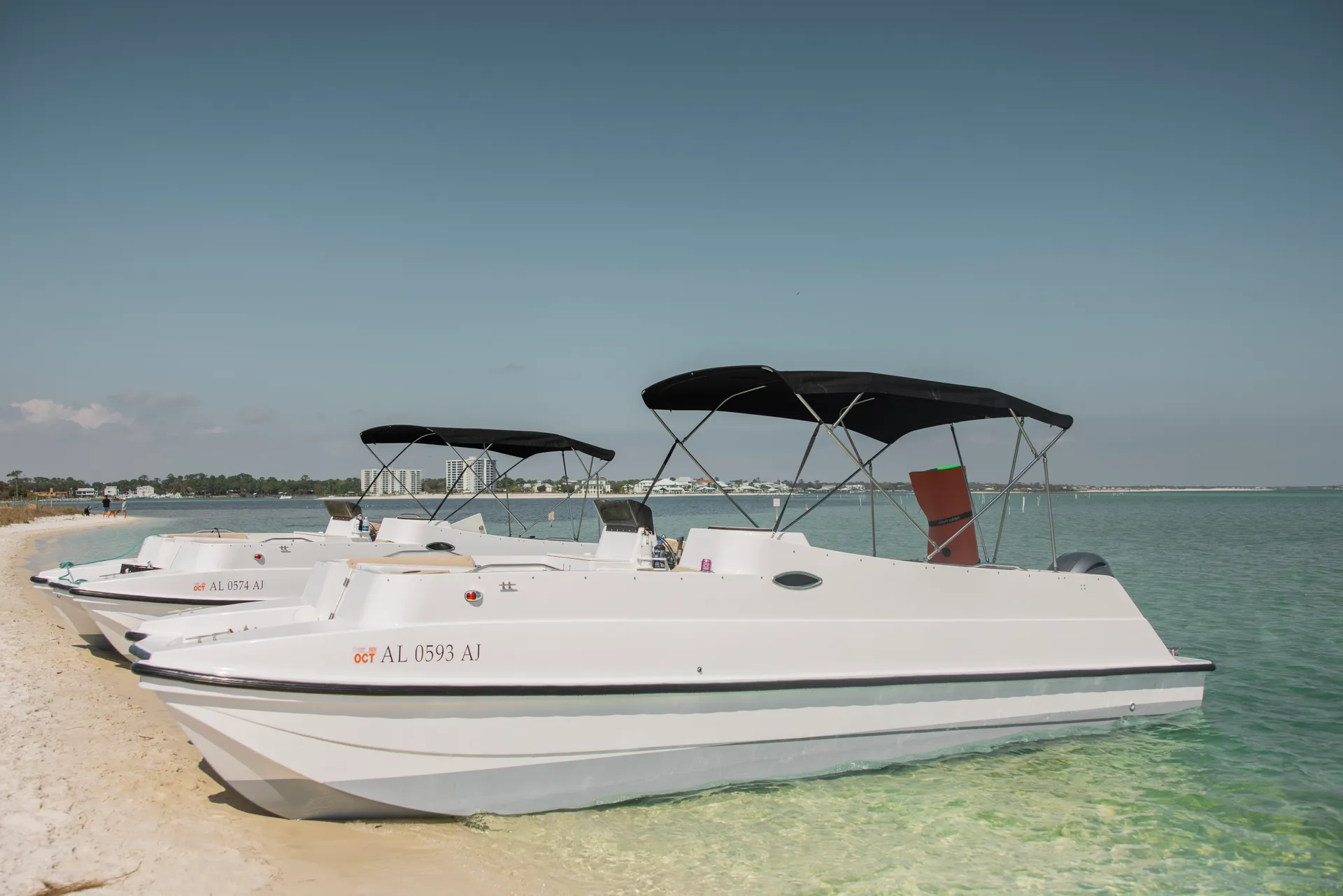 Leisure Cat by Regal Leisure Cat 26 in Orange Beach, AL