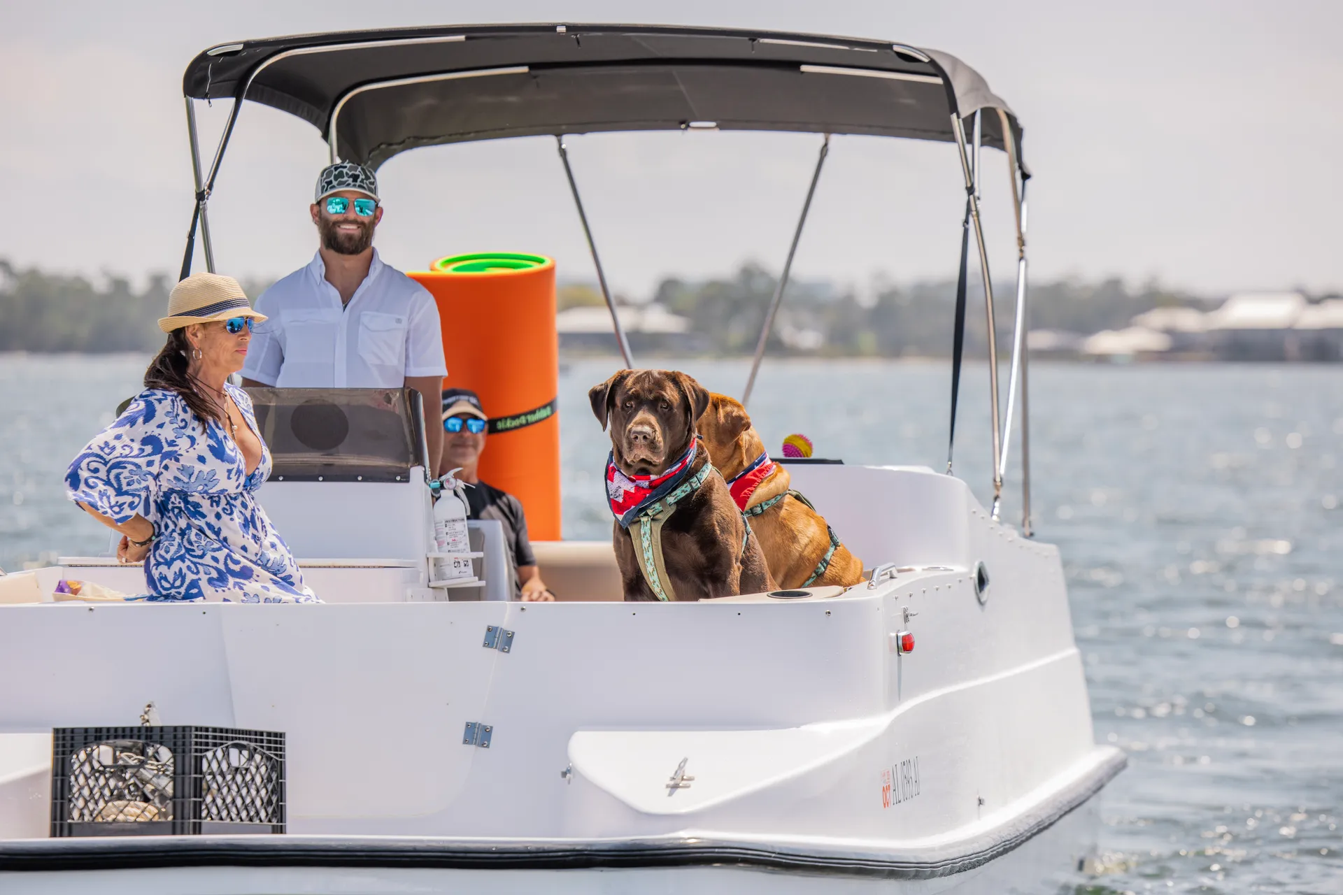 Leisure Cat by Regal Leisure Cat 26 in Orange Beach, AL