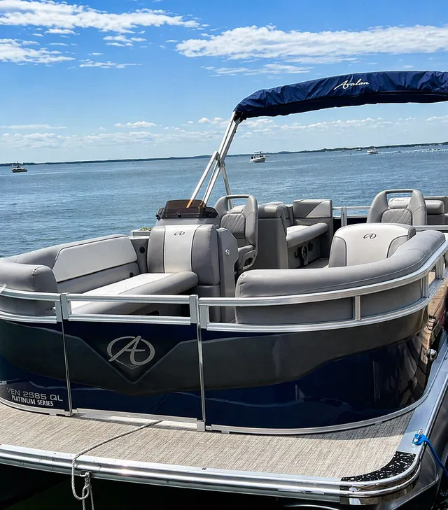 Rent a Avalon Pontoons pontoon in Washington, DC near me