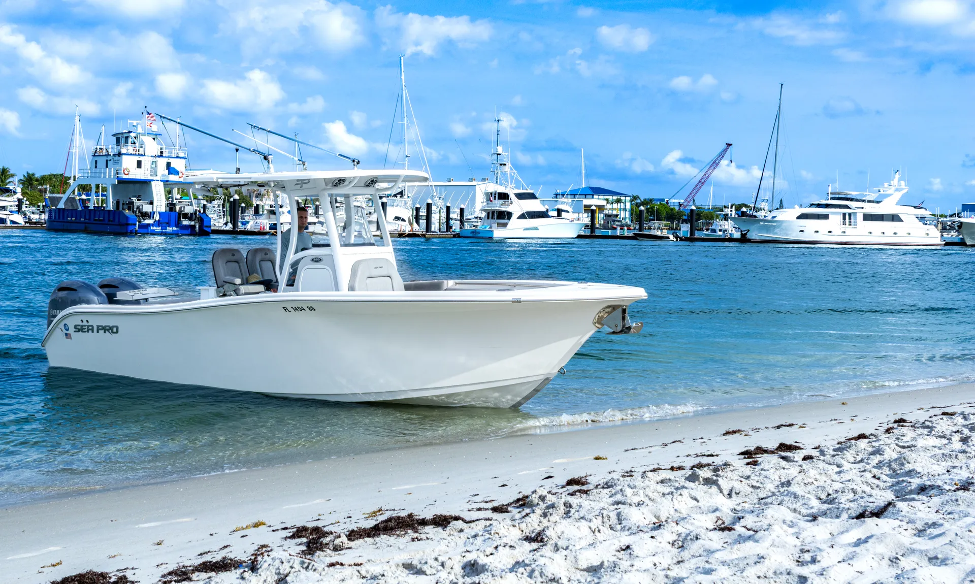 SEA PRO BOATS 259 DEEP V SERIES in West Palm Beach, FL — photo 3