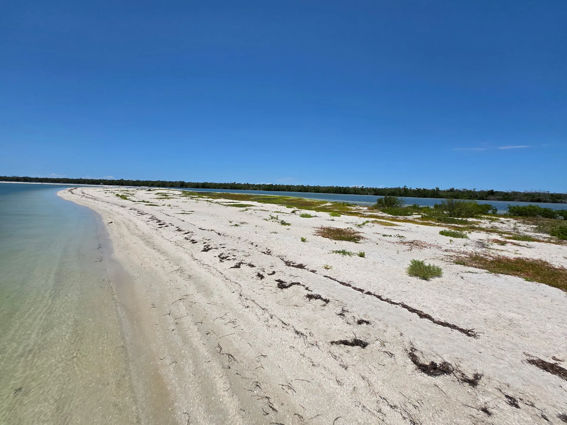 YAMAHA AR250 in Punta Gorda, FL — photo 7