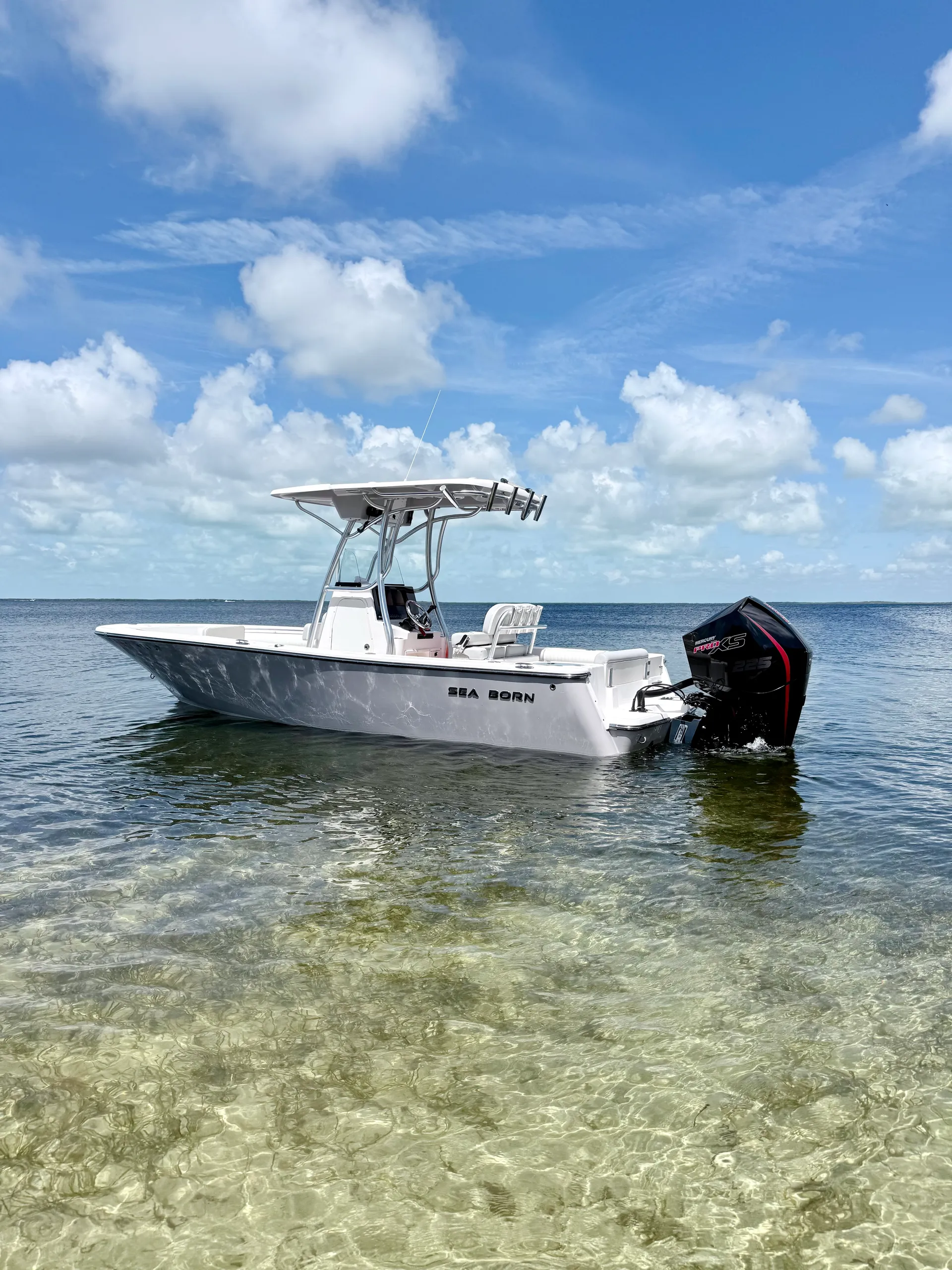 SEA BORN BOATS LX22 CC LE HARDTOP in Key Largo, FL
