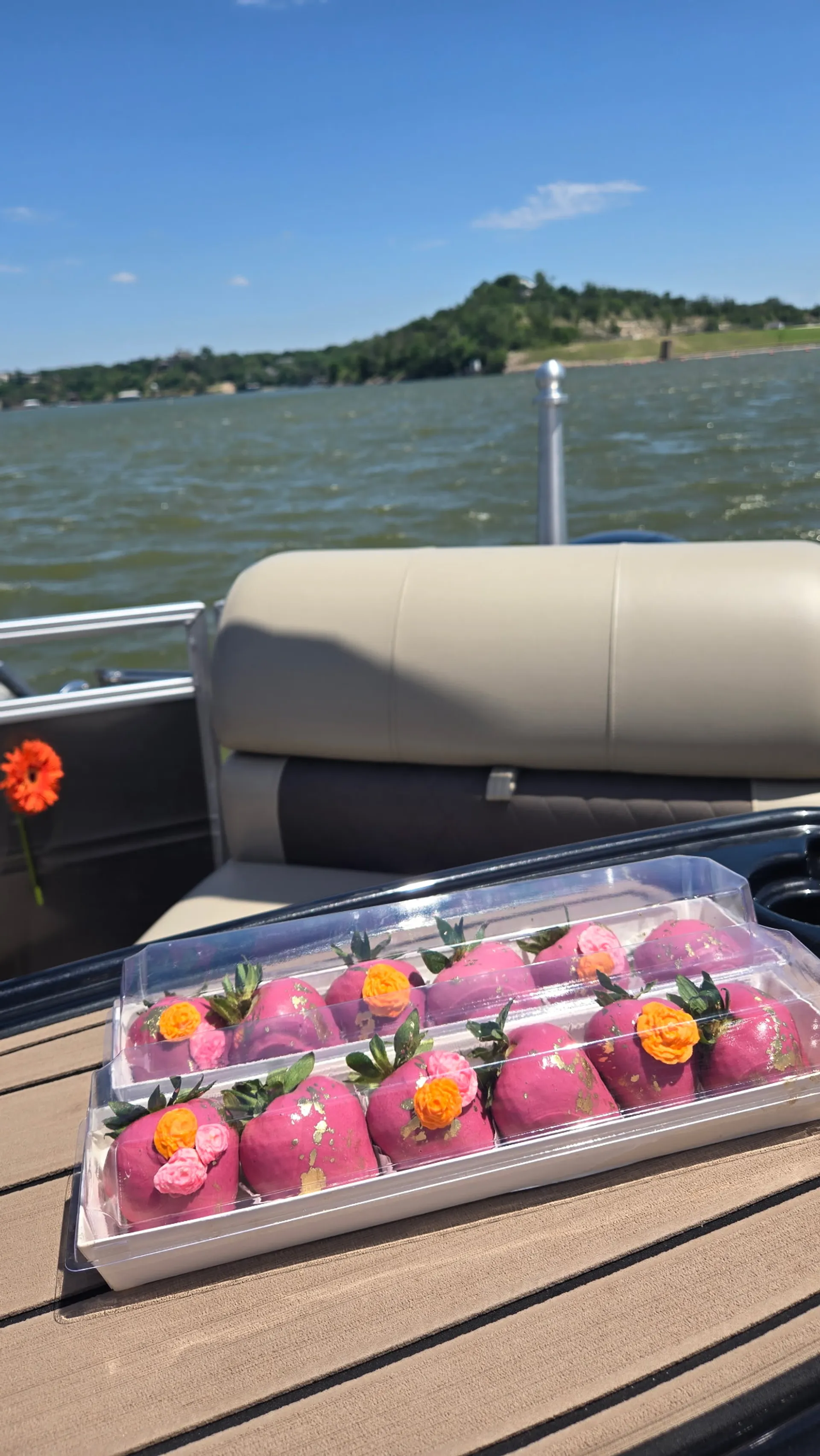 20ft Captained Party Barge – Perfect for Lake Days & Tubing!
