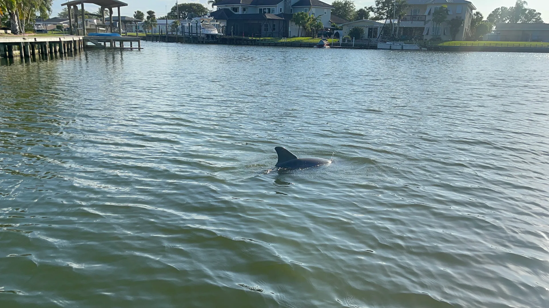 ⚓  Custom Charter ,Fishing and Wildlife Boat Adventures 🌊