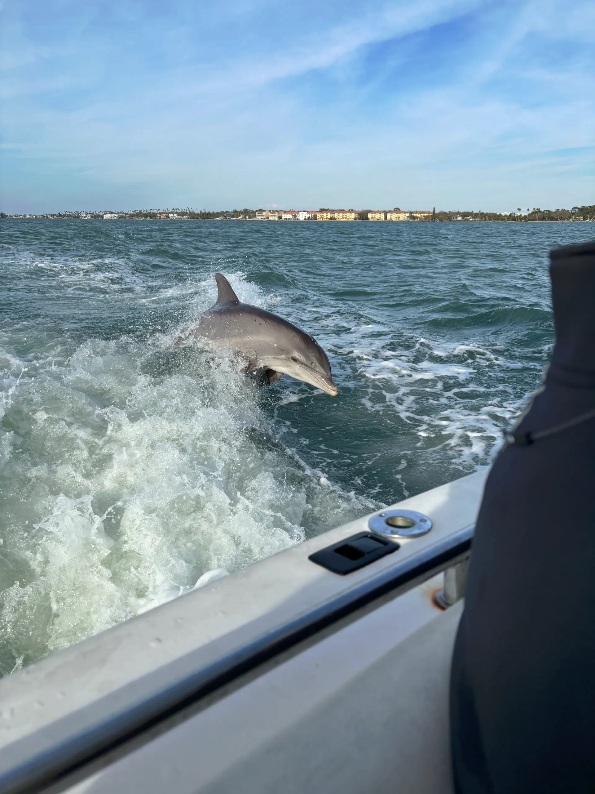 Tiara Yachts 3100 Open in Clearwater, FL — photo 3