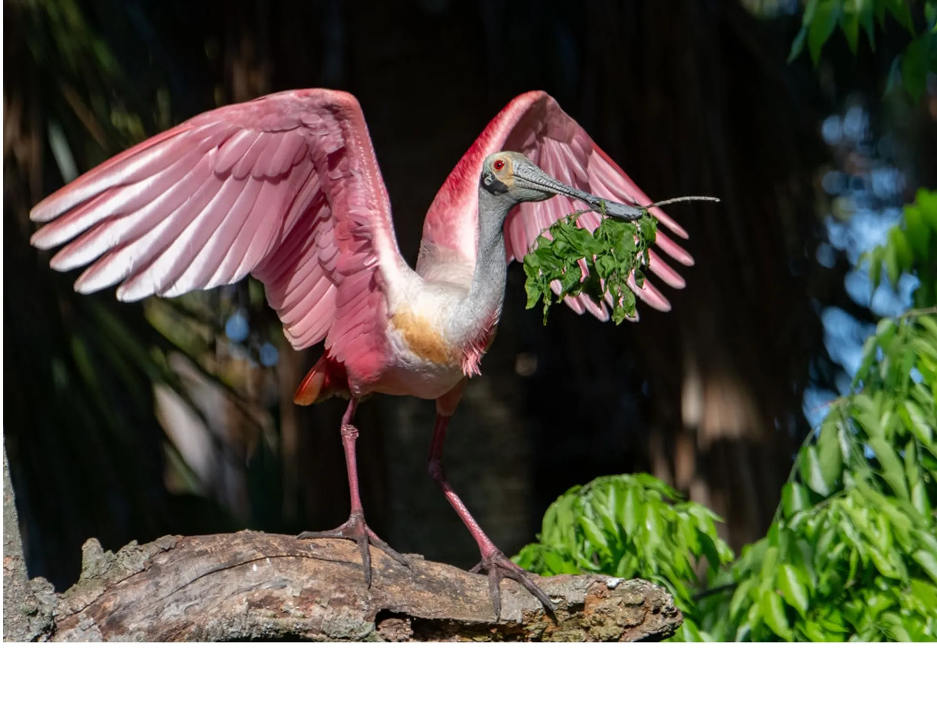 Glastron Boats GTD 220 in Jacksonville Beach, FL — photo 5