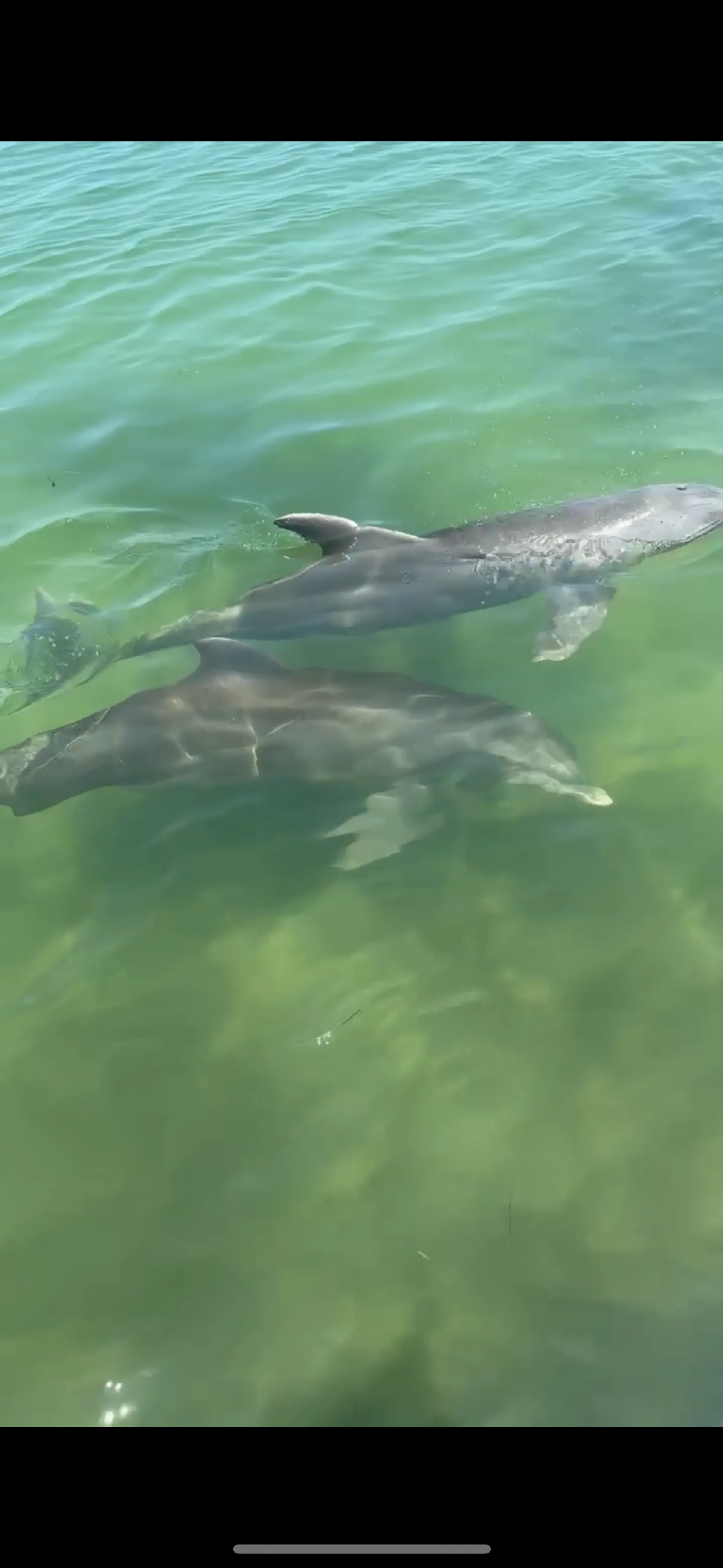 GODFREY MARINE SWEETWATER 2286 in St. Pete Beach, FL — photo 9