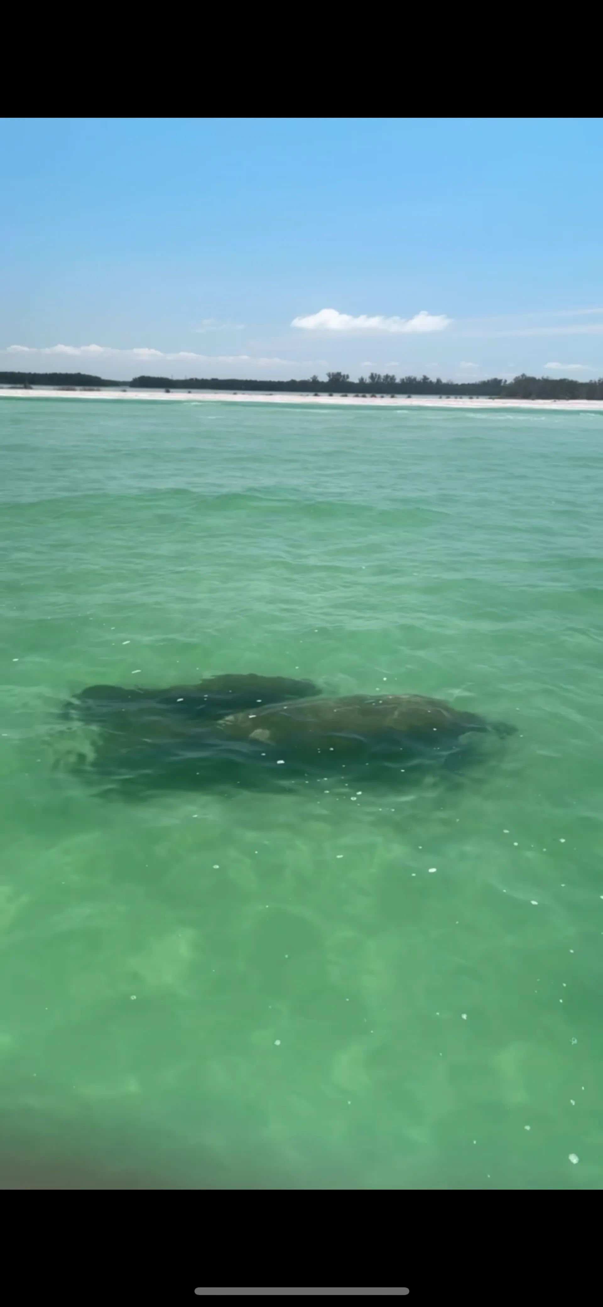GODFREY MARINE SWEETWATER 2286 in St. Pete Beach, FL — photo 10