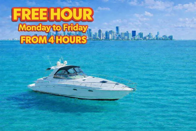 Rent a Sea Ray Boats cruiser in Miami, FL near me