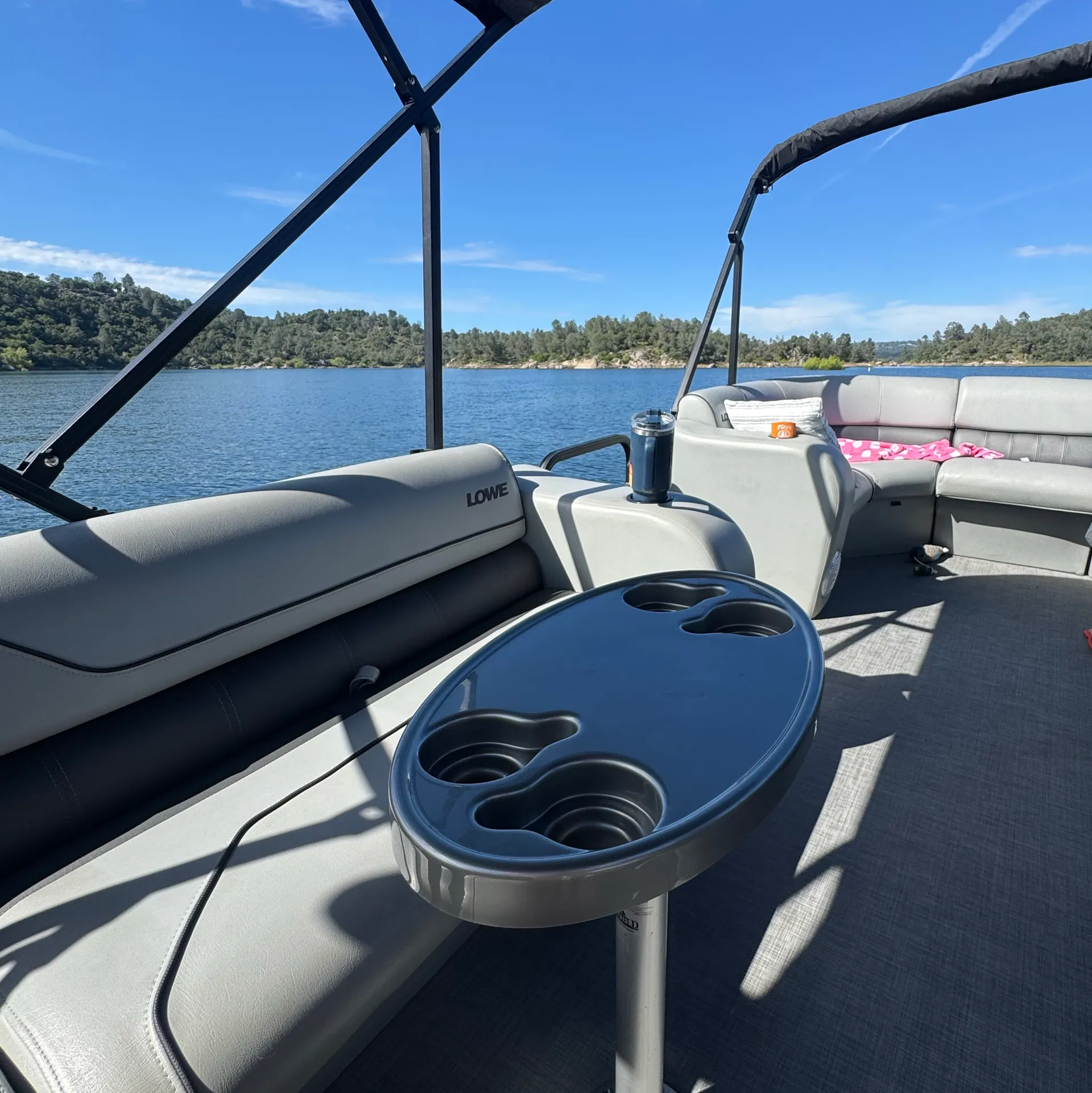 Lowe SS210 Pontoon 115hp Mercury Pro XS