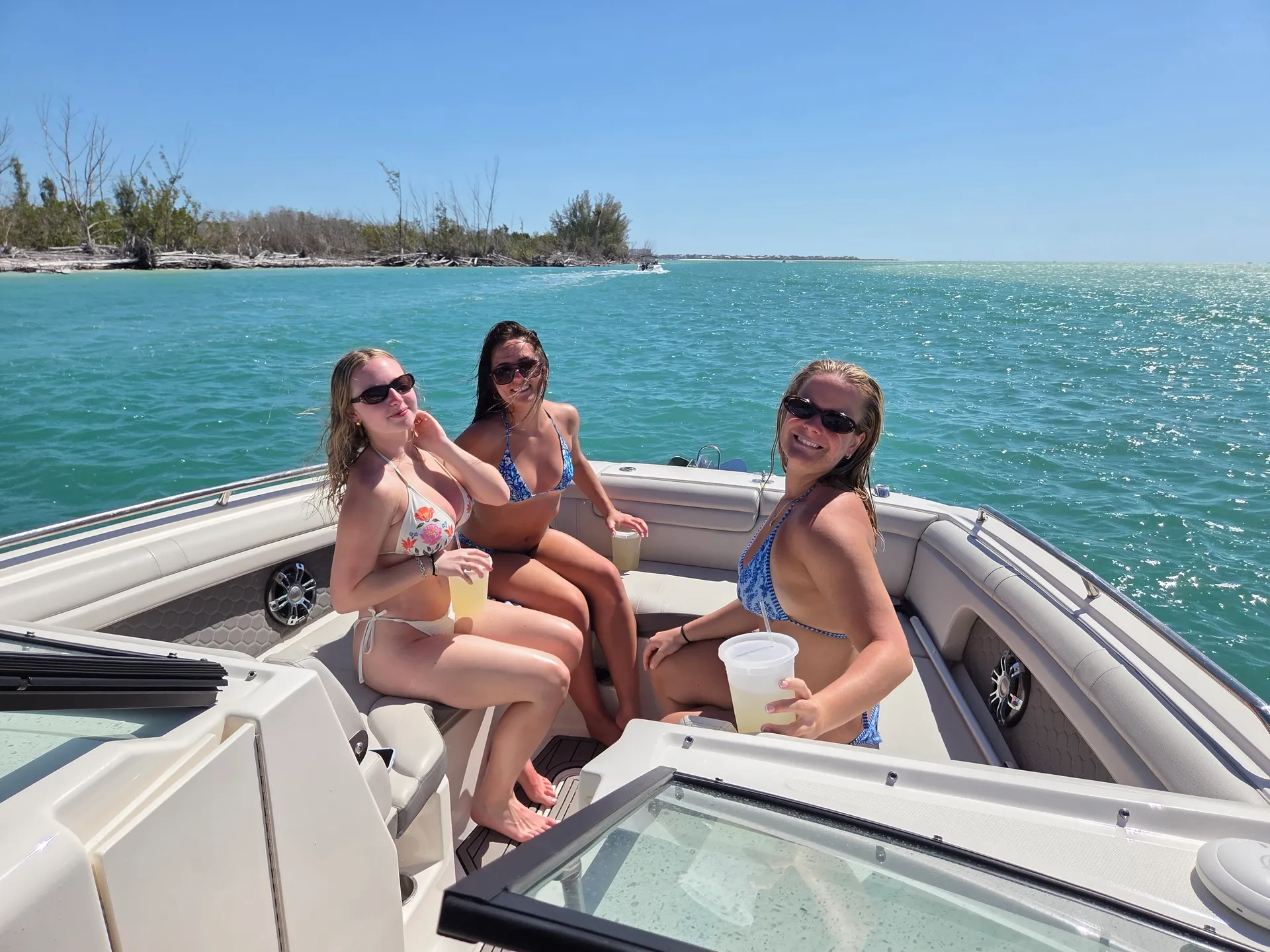 SEA RAY BOATS SDX 290 OB in Naples, FL — photo 2