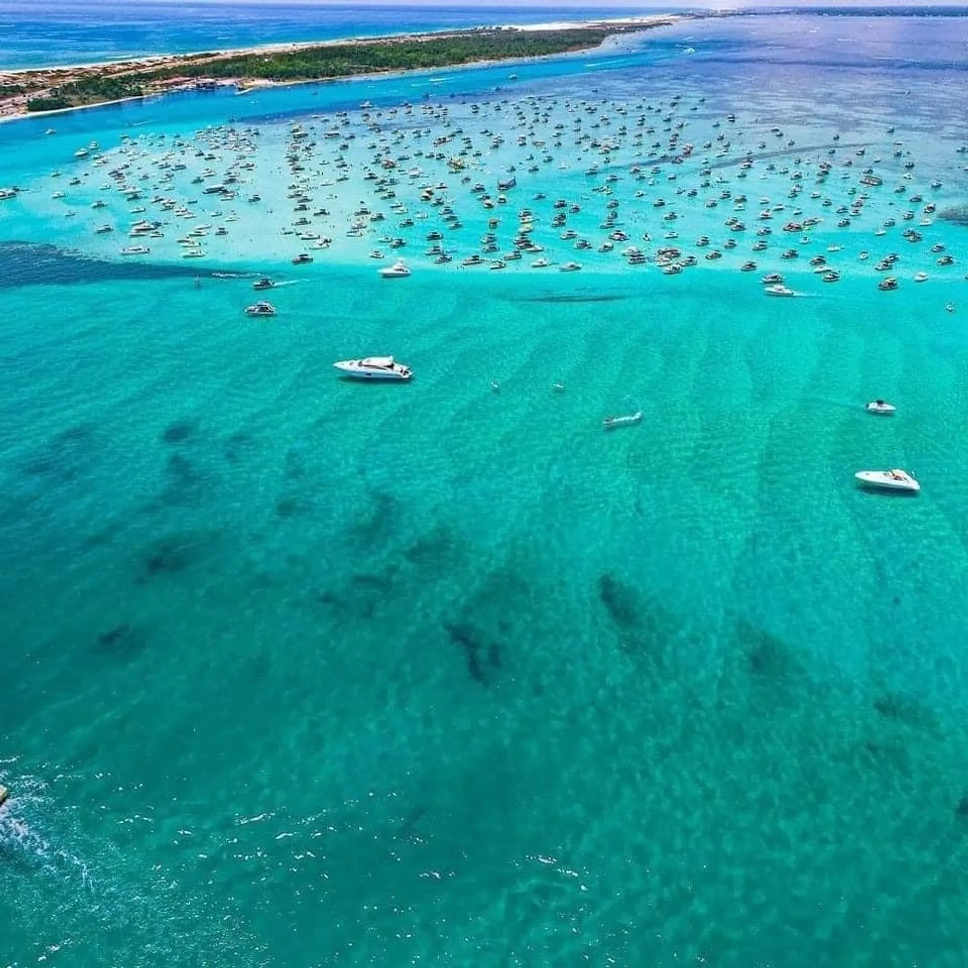 SIGHTSEER CATAMARANS 3512 in Fort Walton Beach, FL — photo 4