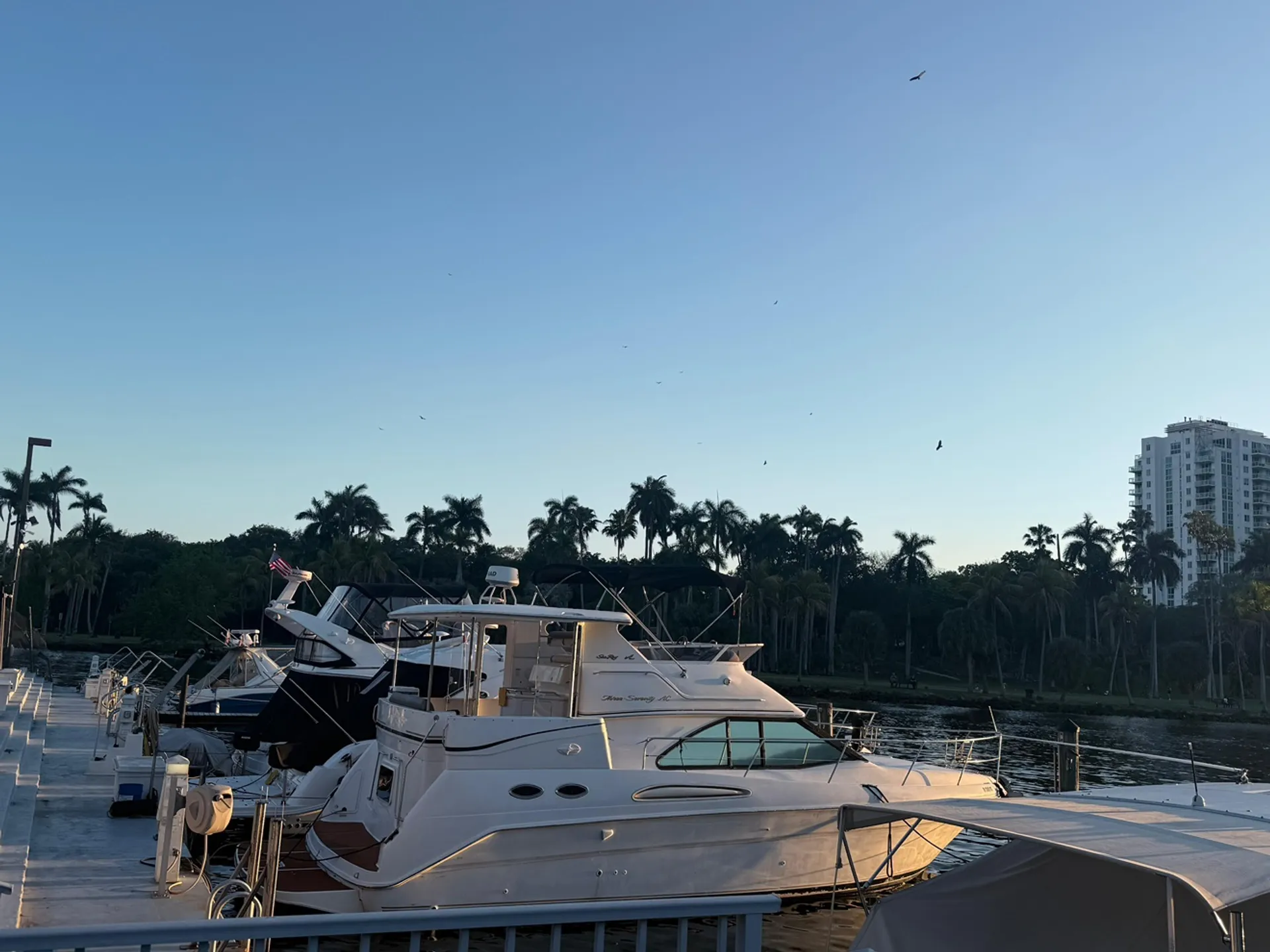 Sea Ray Boats 370 AC in Miami, FL — photo 5