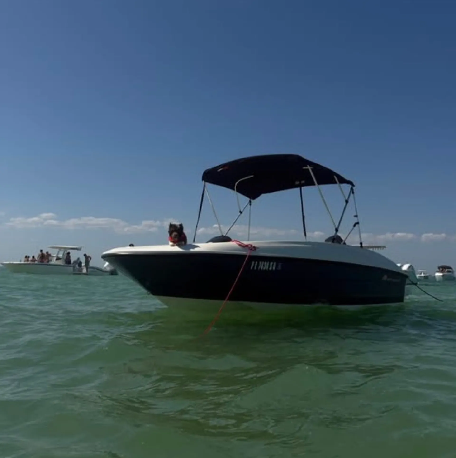 BAYLINER ELEMENT E16 in Miami, FL — photo 4