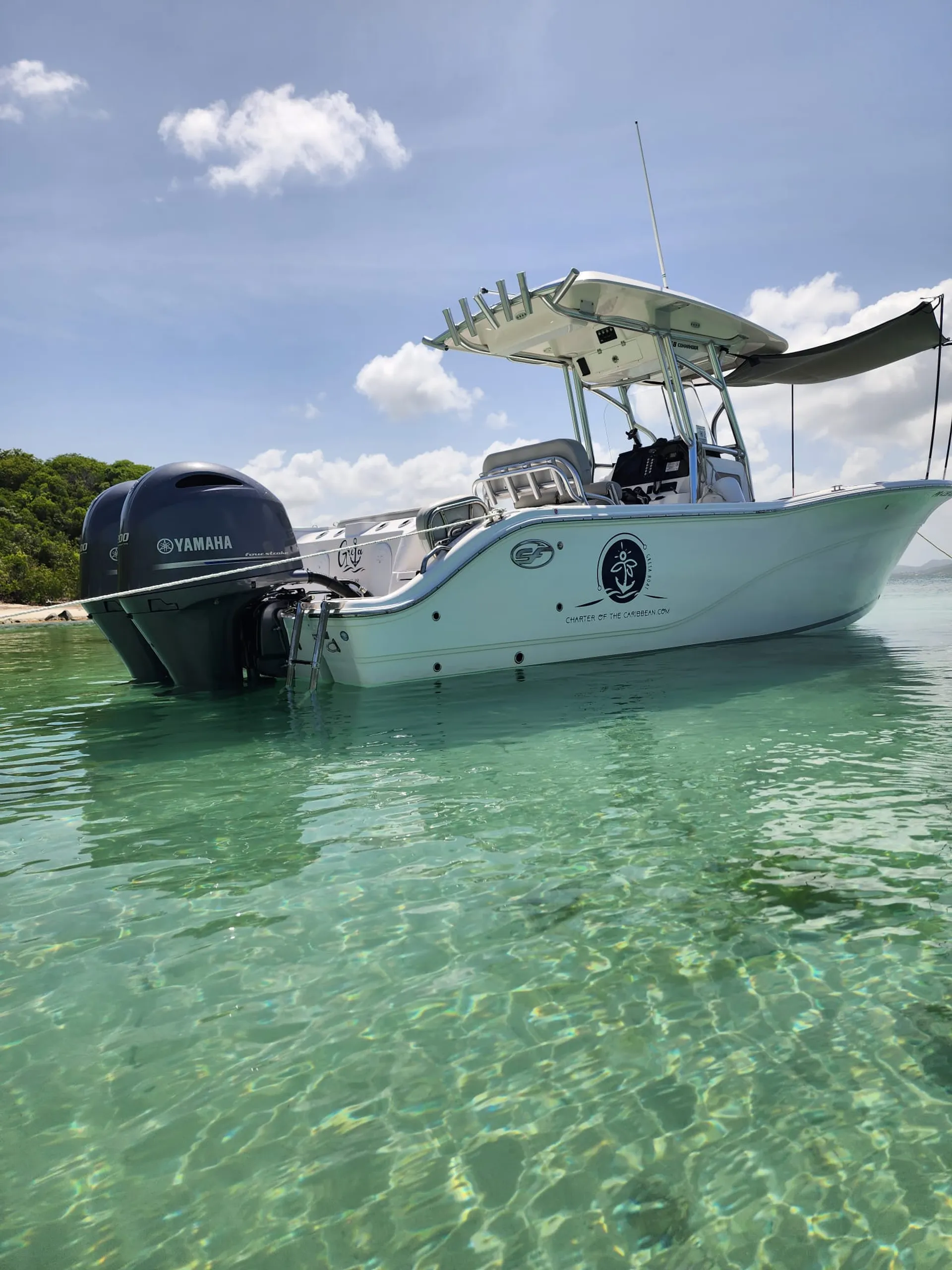 SEA FOX 268 COMMANDER in Fajardo, Fajardo — photo 4