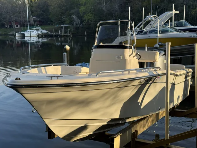 Rent a GRADY-WHITE BOATS fish and ski in Annapolis, MD near me