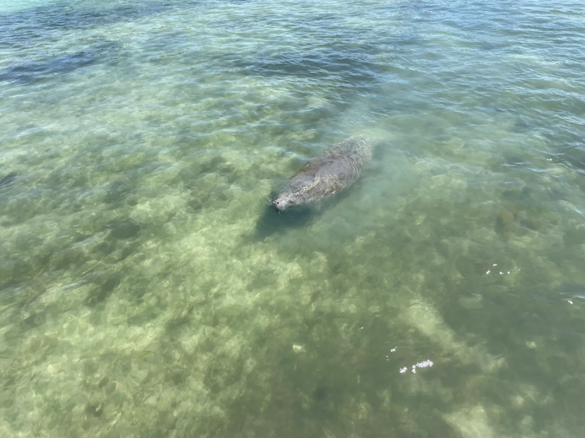 Comfortable 24’ Tri Toon