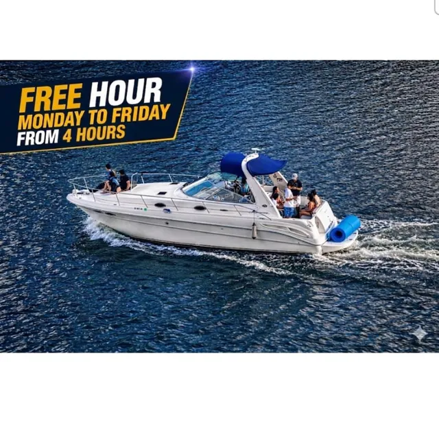 Rent a Sea Ray Boats cruiser in Miami, FL near me