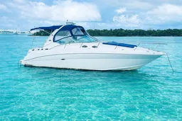 34’ Sundancer Yacht | Perfect Sandbar Charter boat photo
