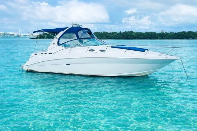 Rent a Sea Ray Boats cruiser in Miami, FL near me