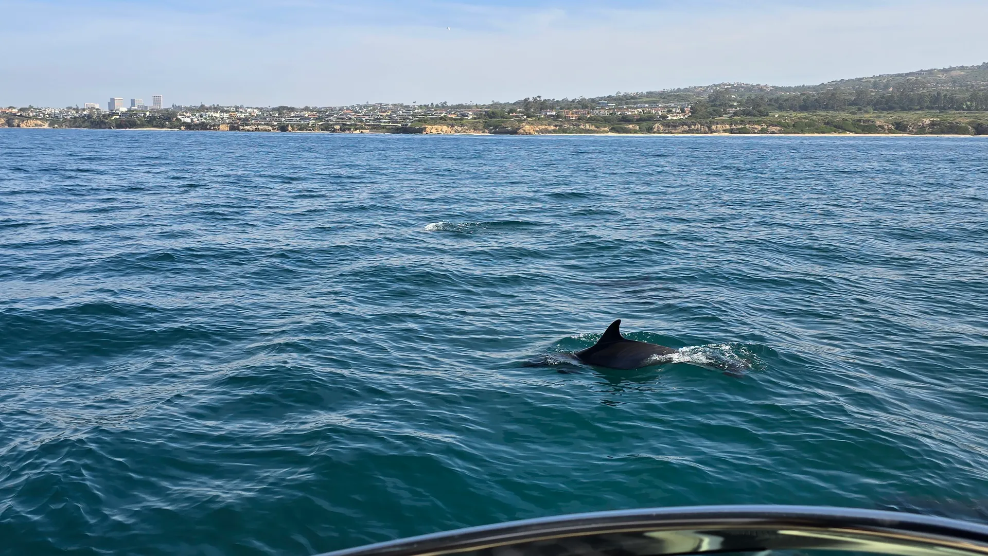 26' Sea Ray SLX 260 Day Cruiser in Los Angeles