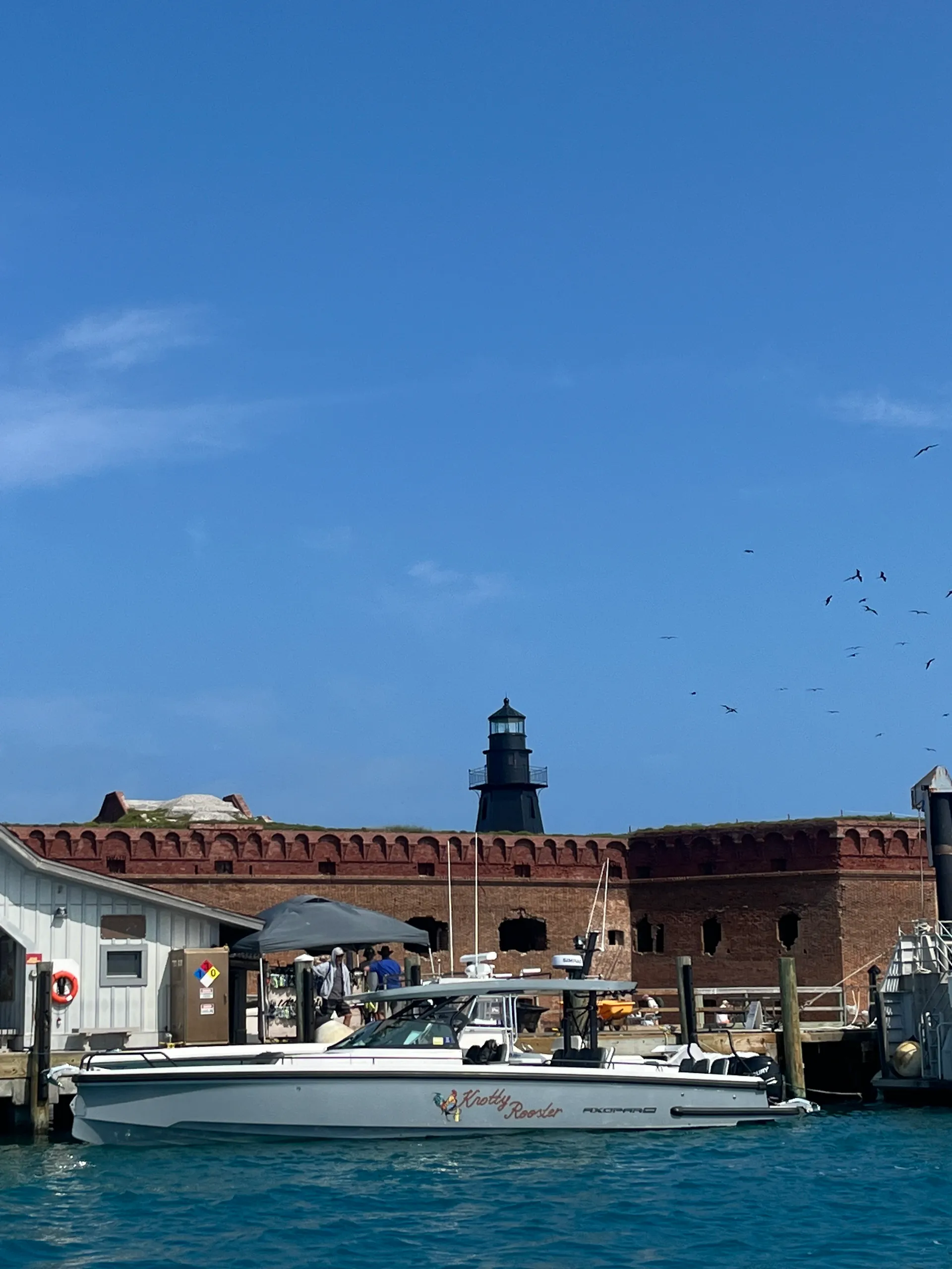 Eagle Cortenzo in Key West, FL — photo 7