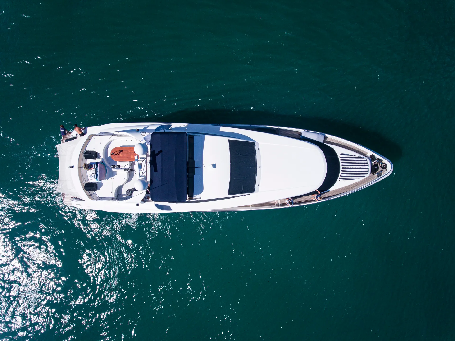 Eagle Cortenzo in Key West, FL — photo 10