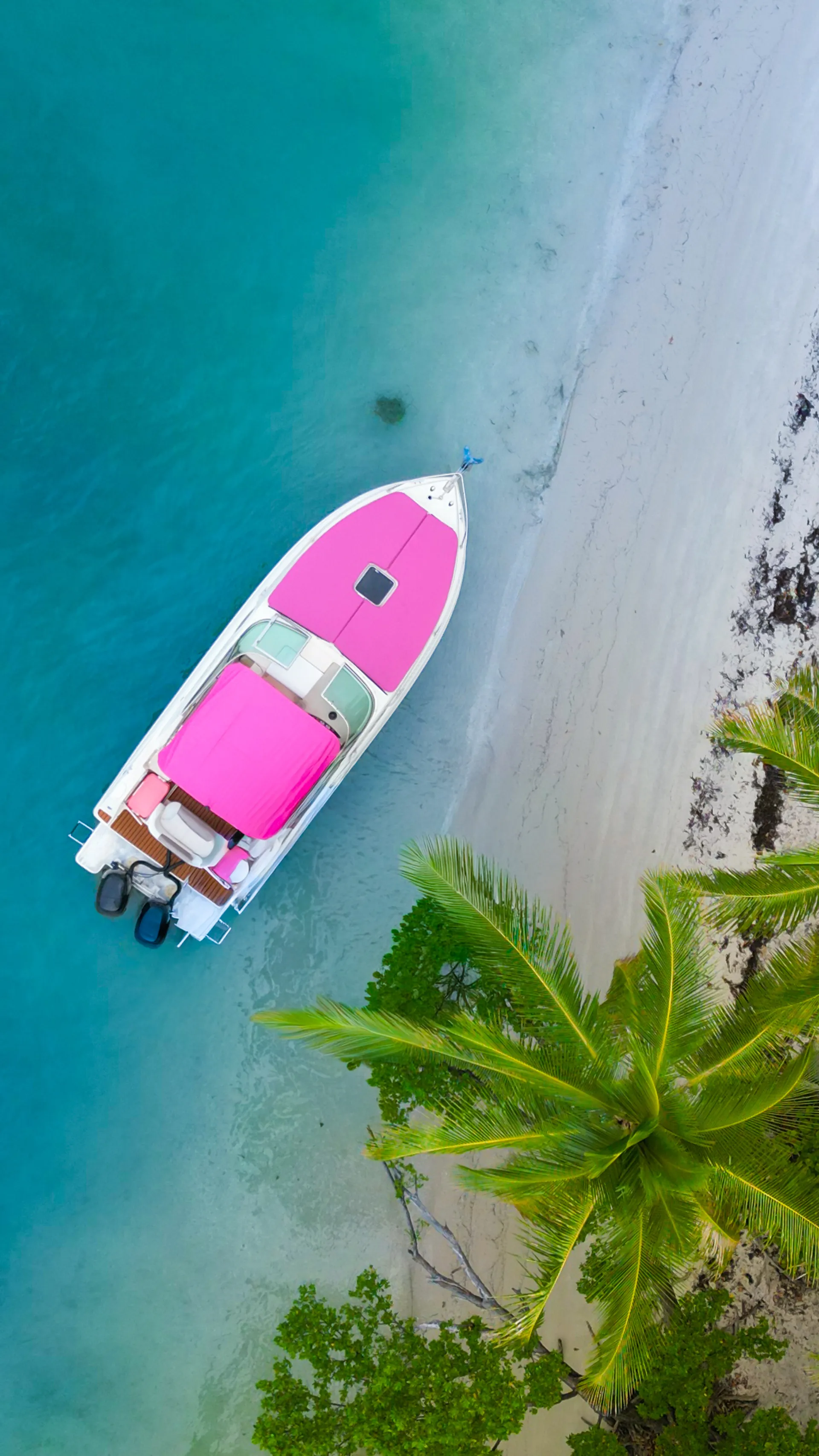 Cruise in Our Iconic 28FT Pink Rinker in MIAMI!!!