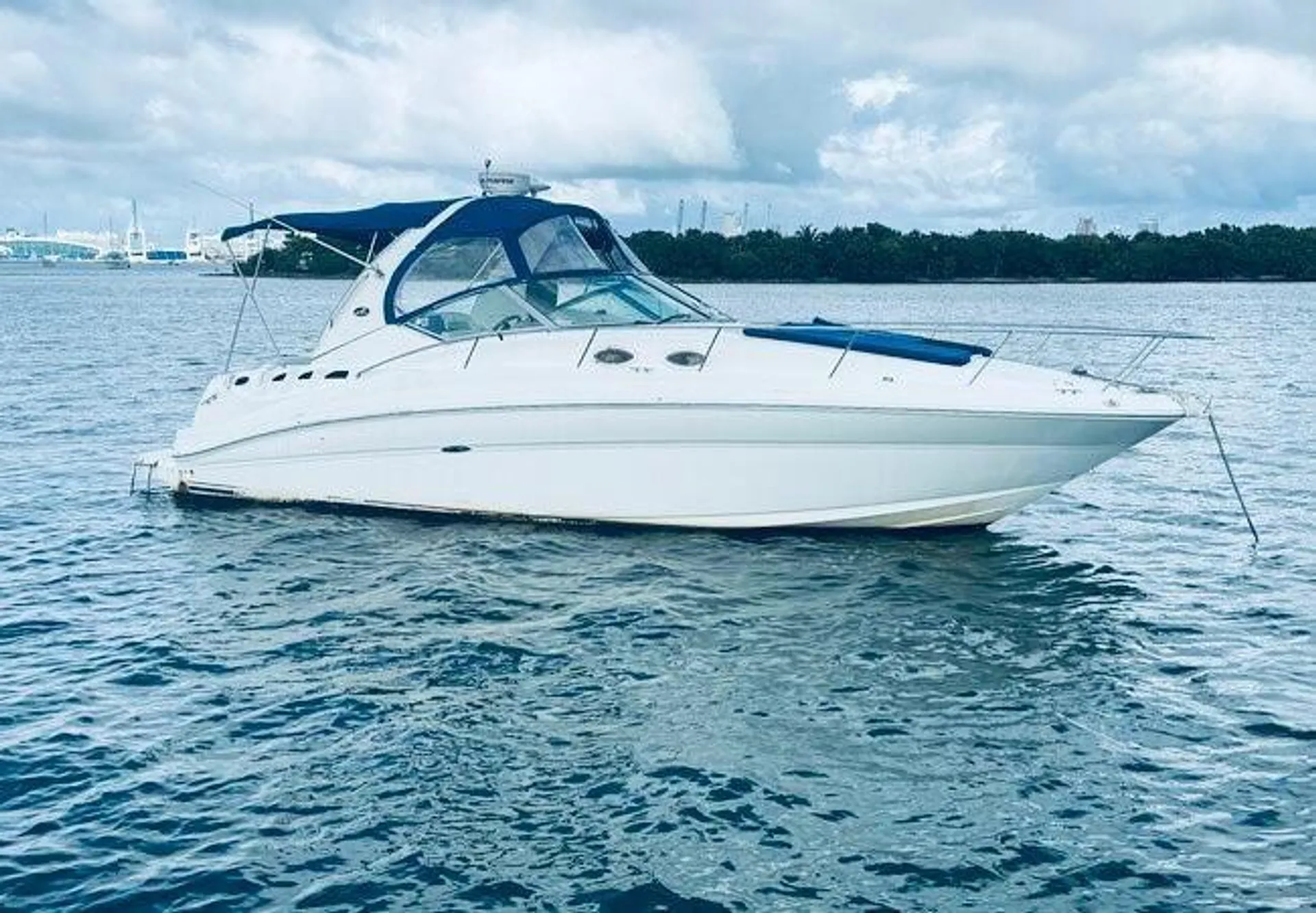 Sea Ray Sundancer in Miami, FL — photo 3
