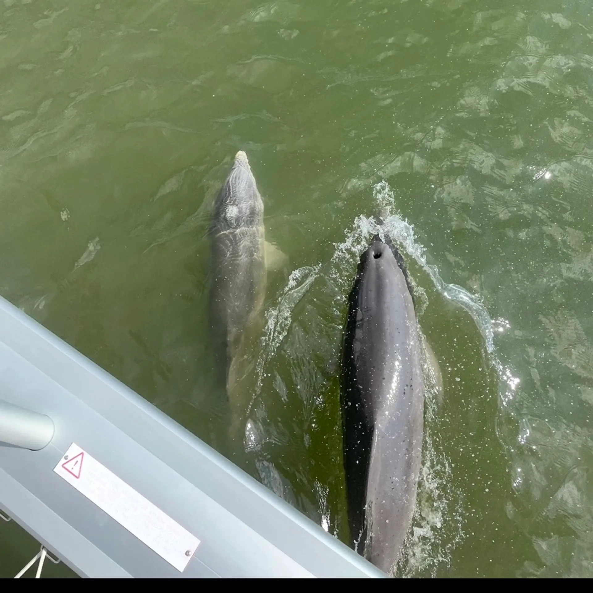 Charleston's Premier Zen Sailing Catamaran Experience