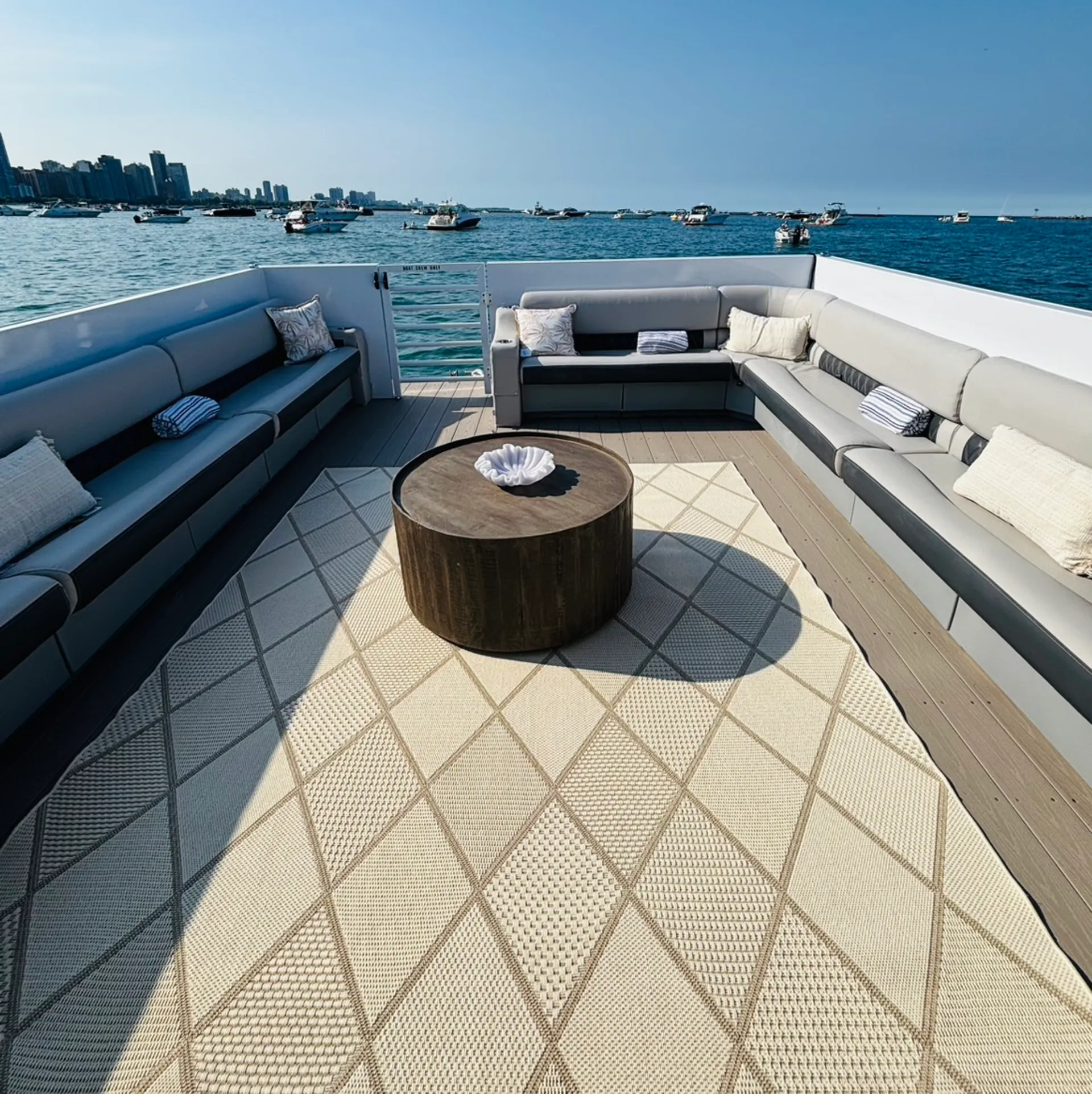 Custom  45' Catamaran/pontoon  in Chicago, IL — photo 6