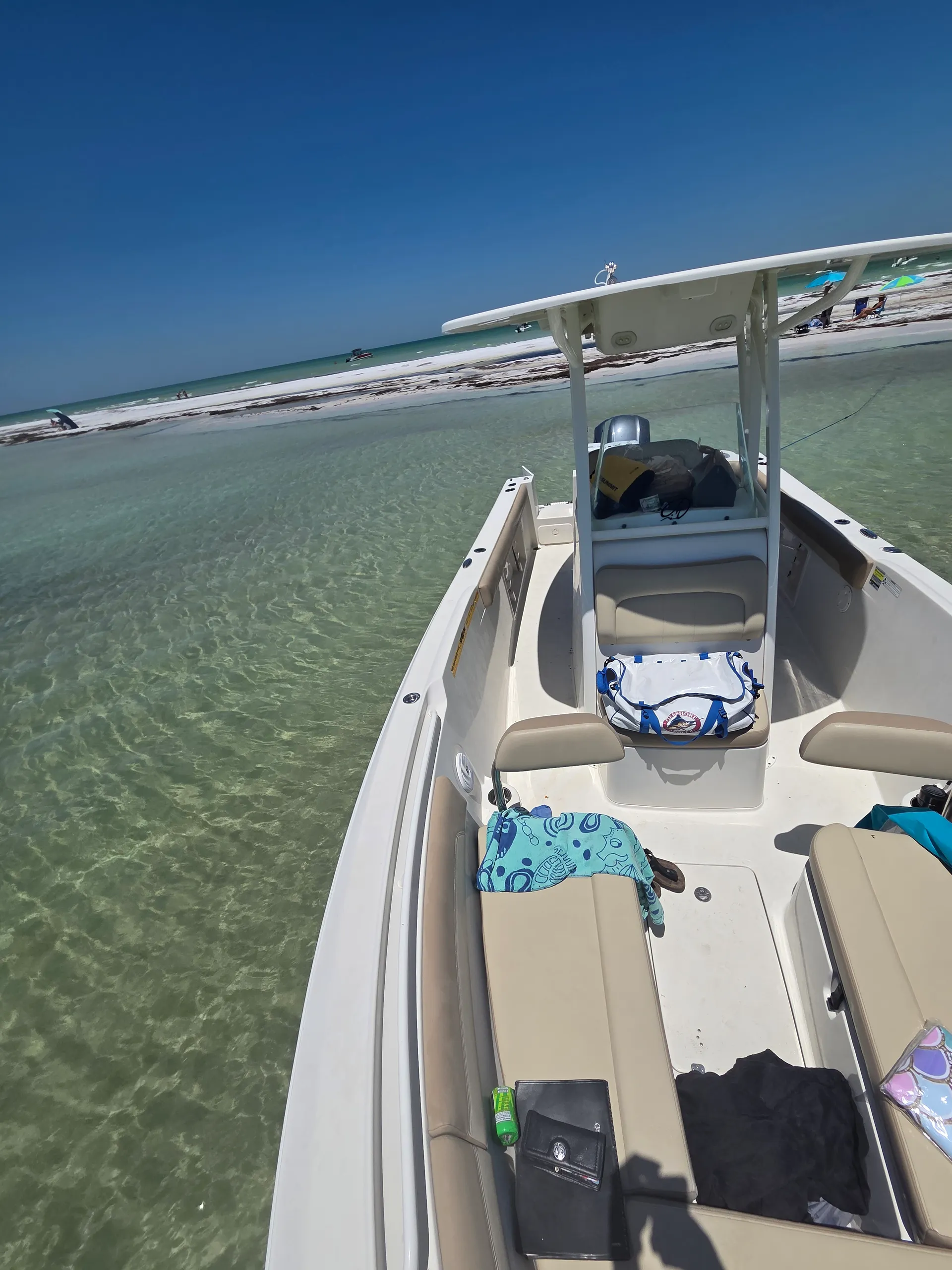 SAILFISH BOATS BY SEMINOLE SF241 CC in Brooksville, FL — photo 6