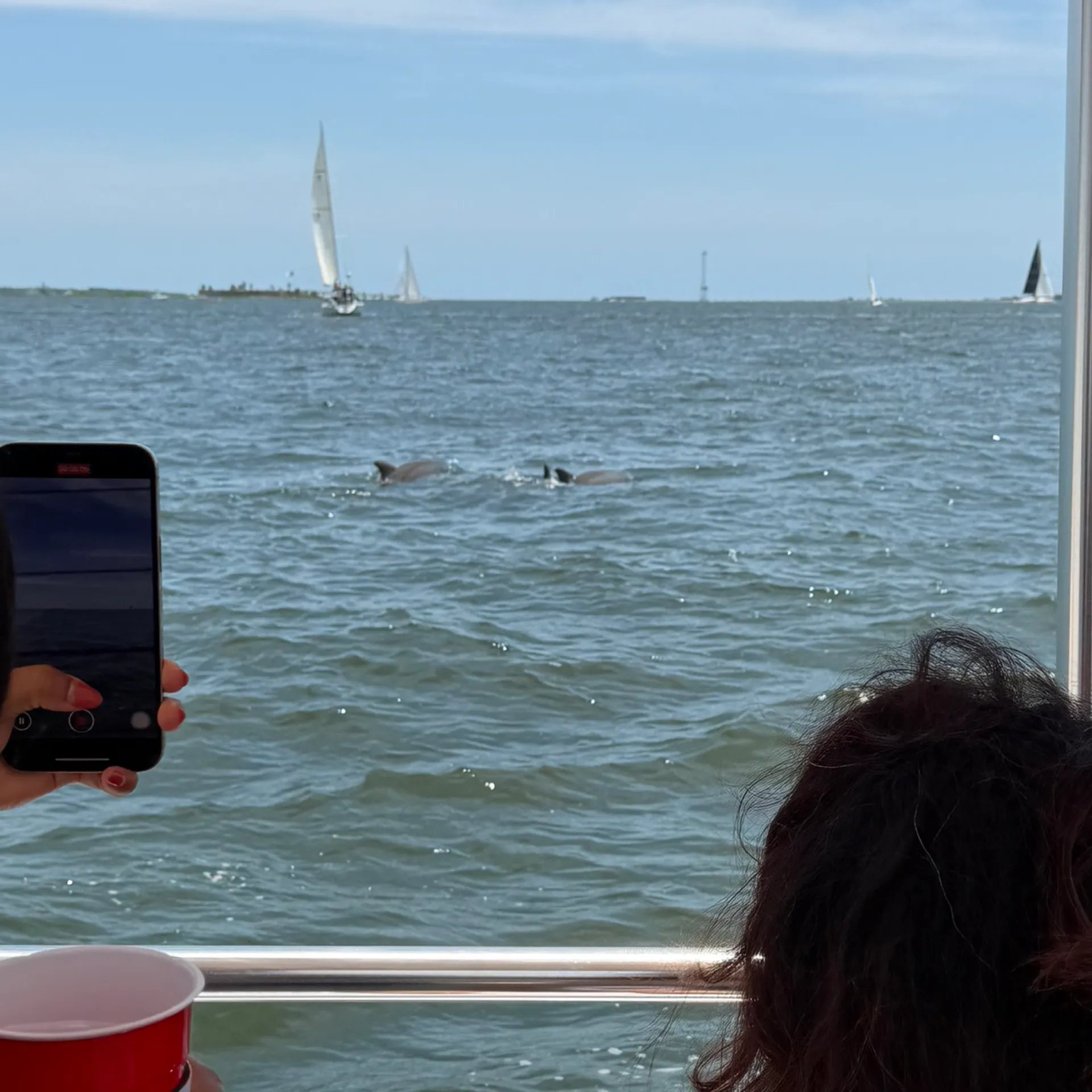 Irish Lobsterman Launch - 24 passenger Charleston Harbor Tour 