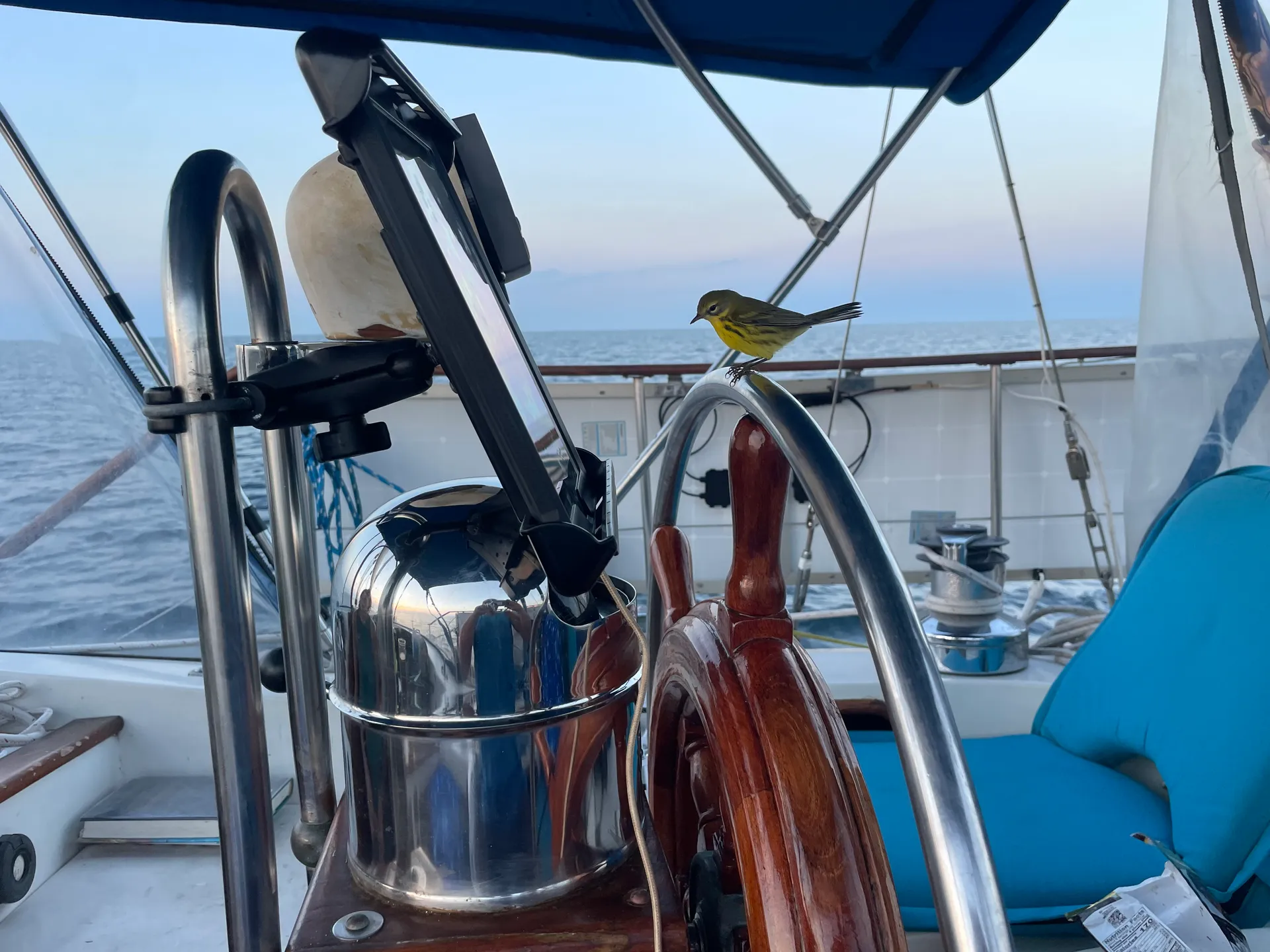 Texas Corsair — Classic 53' Ketch