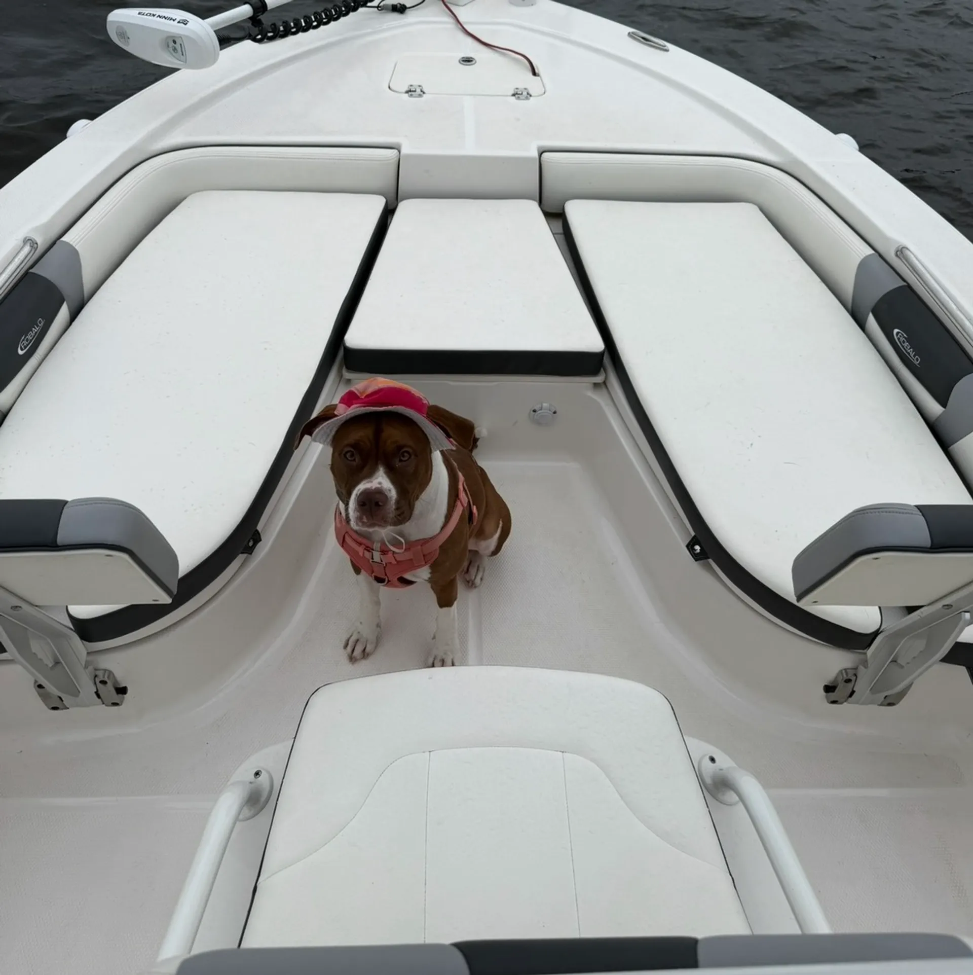 2023 Robalo Bay Boat 206 Cayman