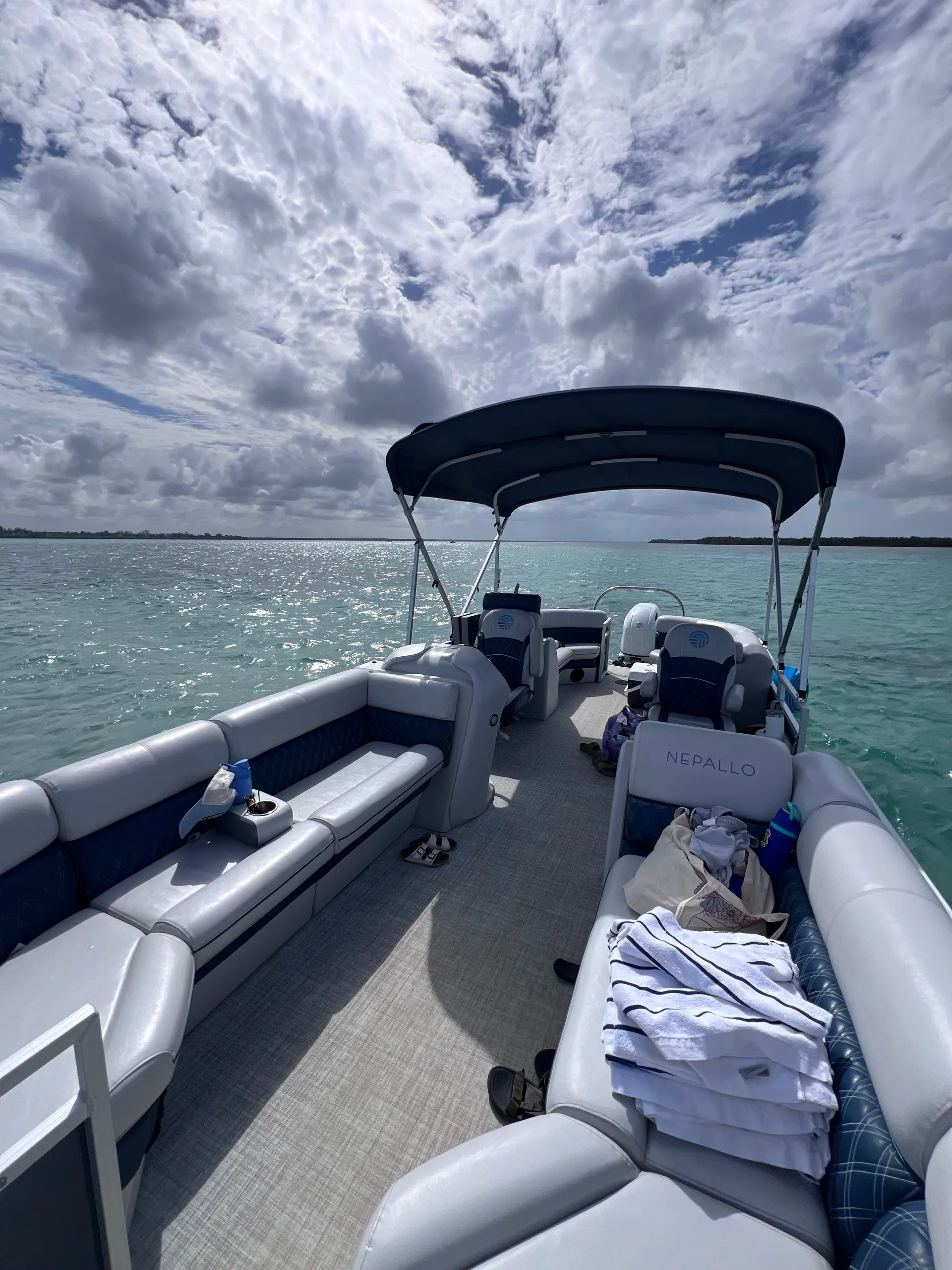Private Dolphin and Sandbar Adventure | Up to 12 Guests