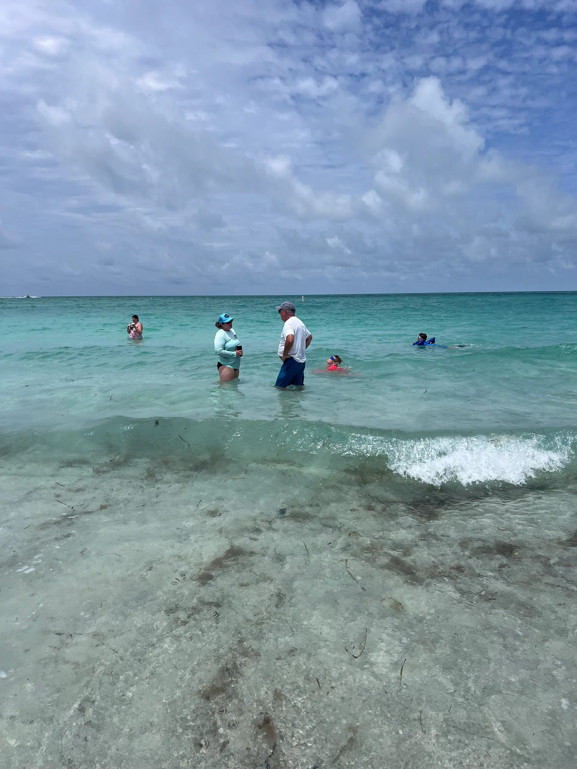 Private Dolphin and Sandbar Adventure | Up to 12 Guests